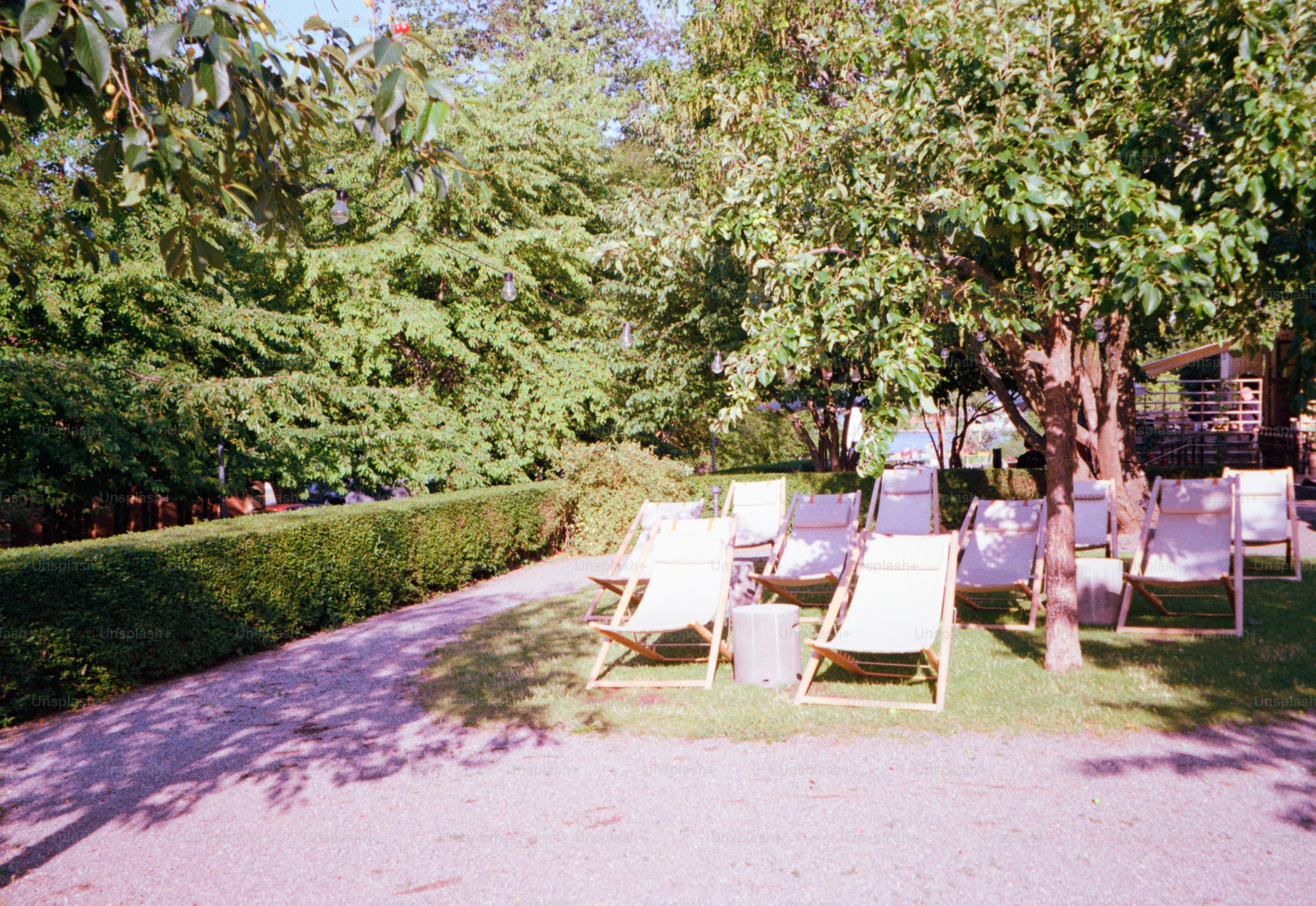 Empty chairs sit beneath the shade of trees.