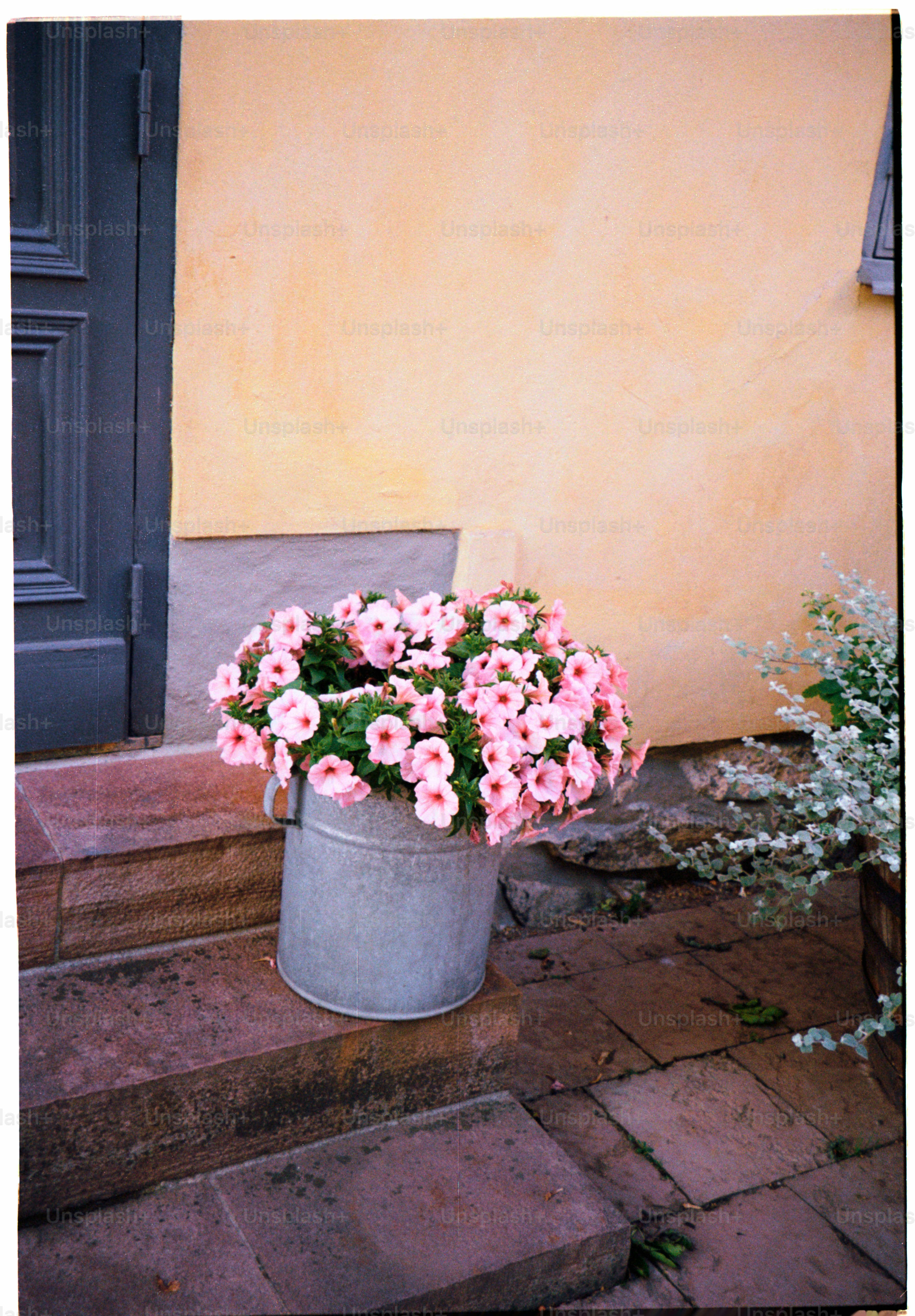 Floral from Unsplash