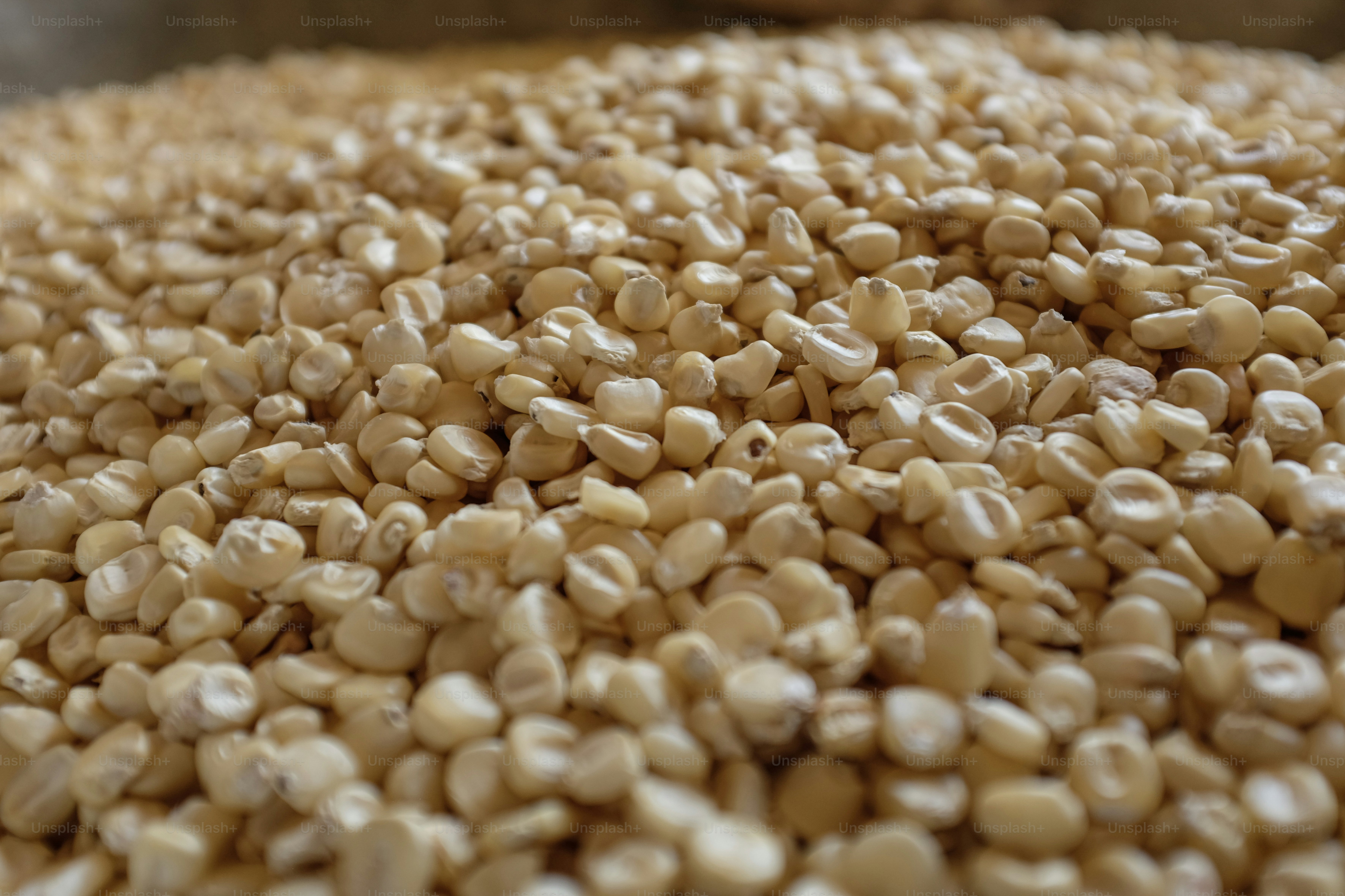 Un tas de grains en gros plan.