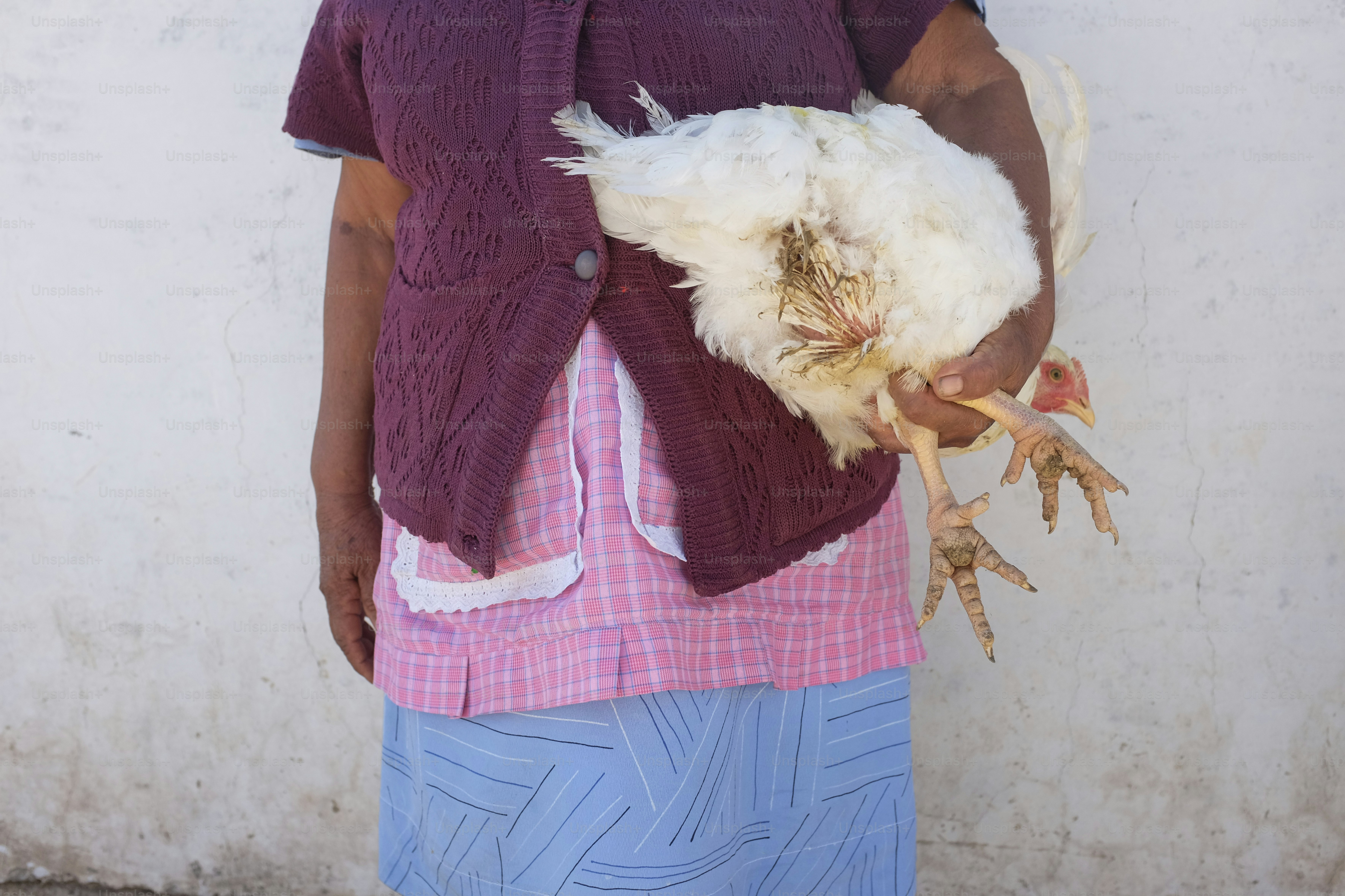 足で白い鶏を抱いている女性。