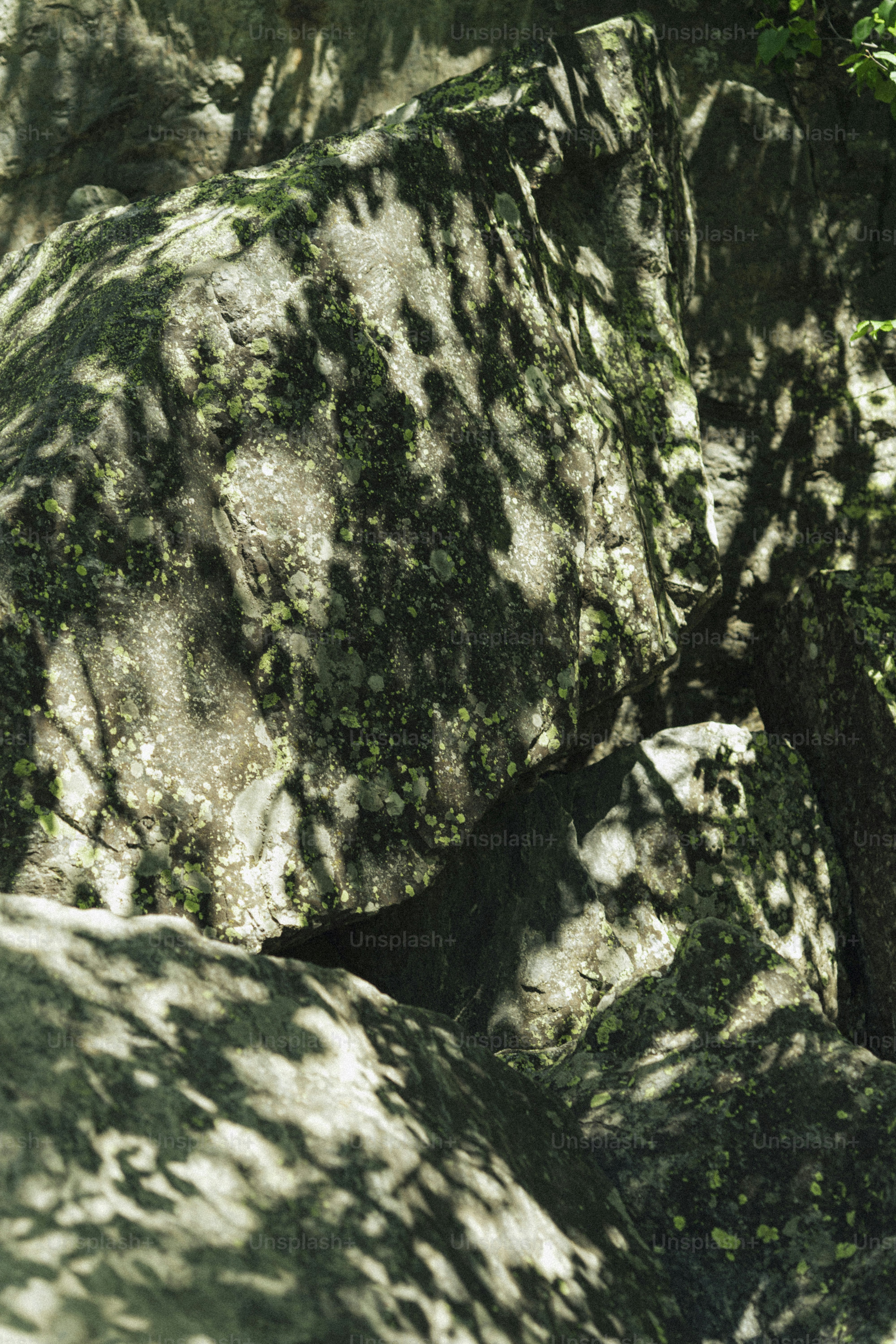 Rochas cobertas de musgo e sombras.