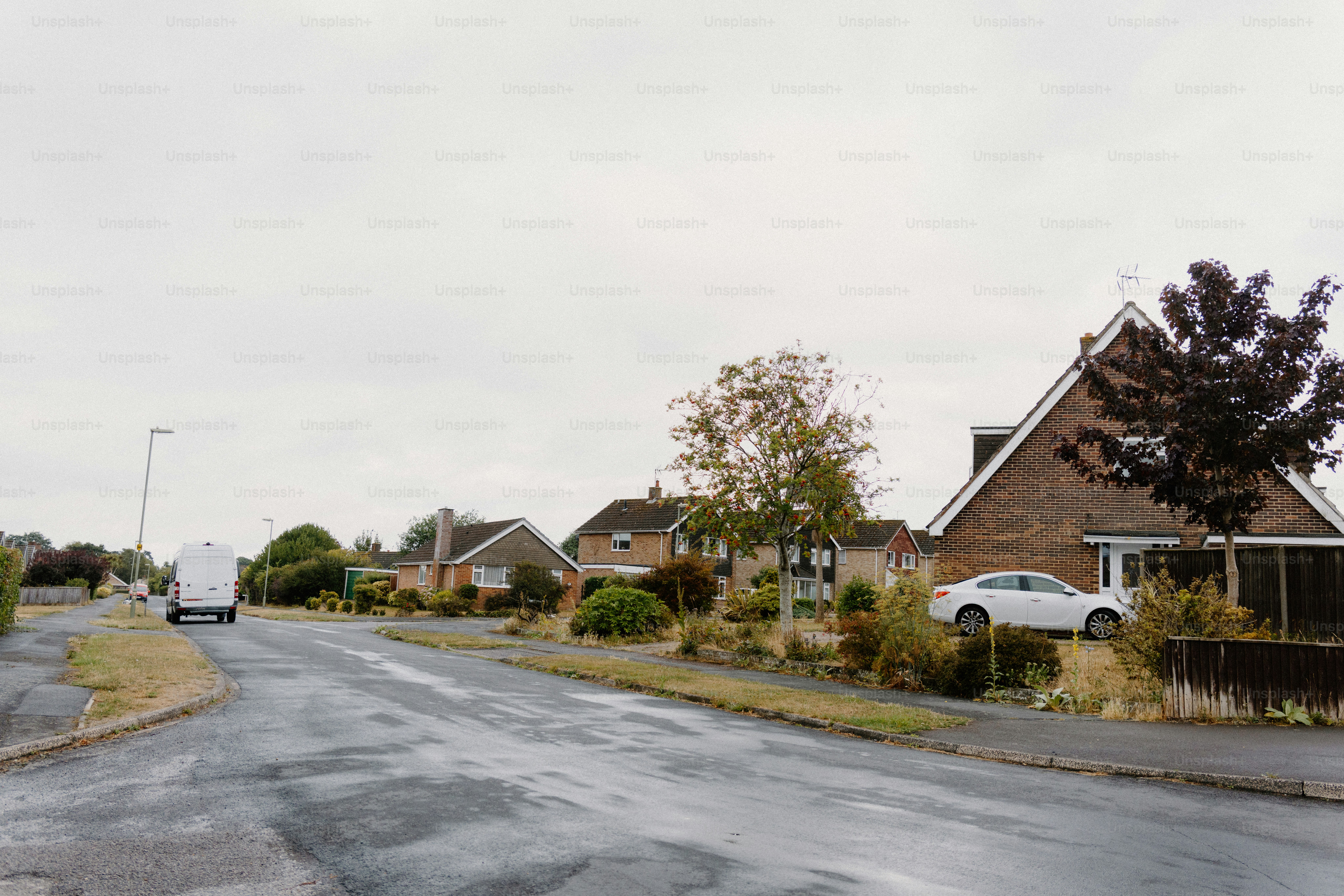 Suburban houses line a quiet, overcast street.