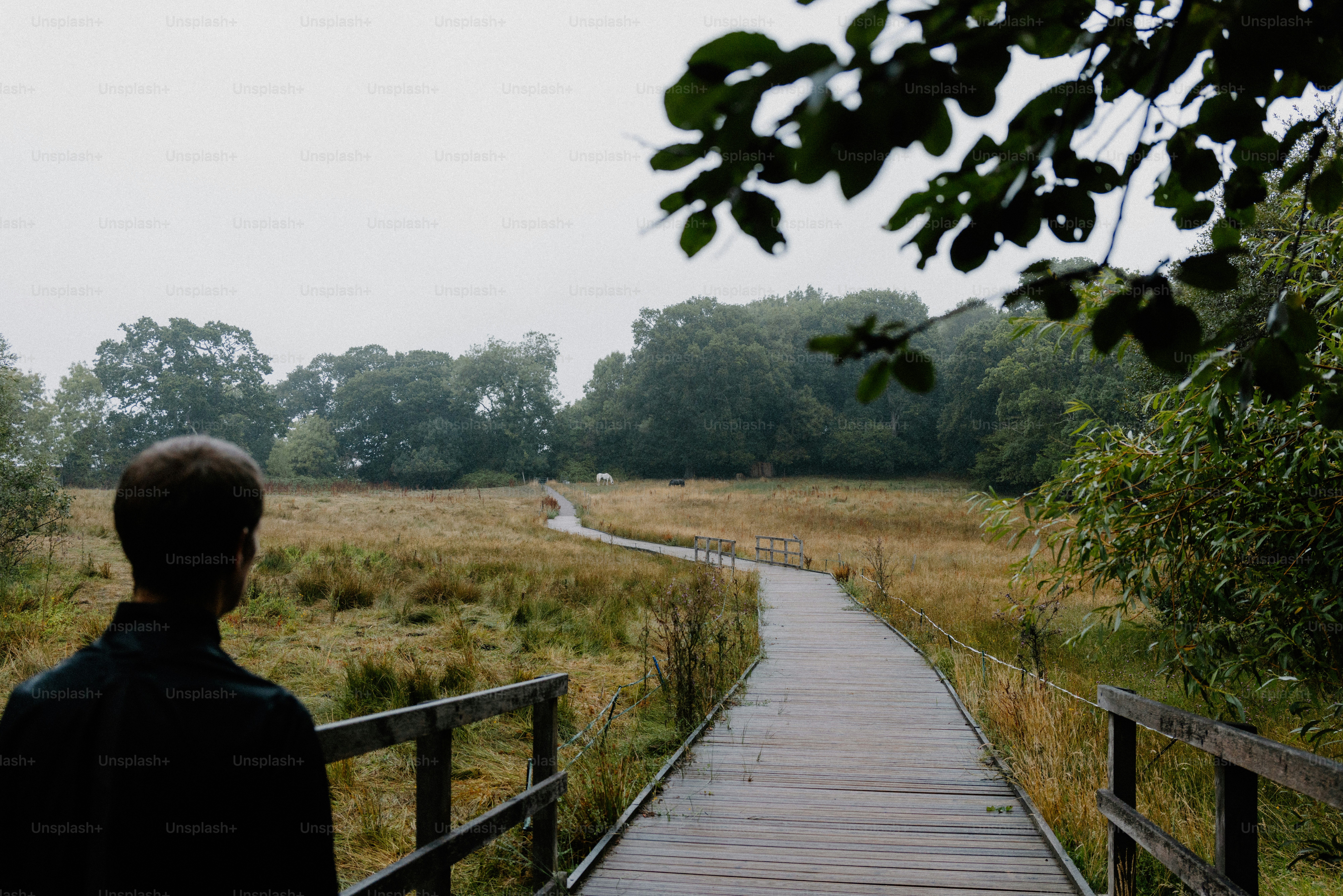 Man walks towards a path in the countryside.