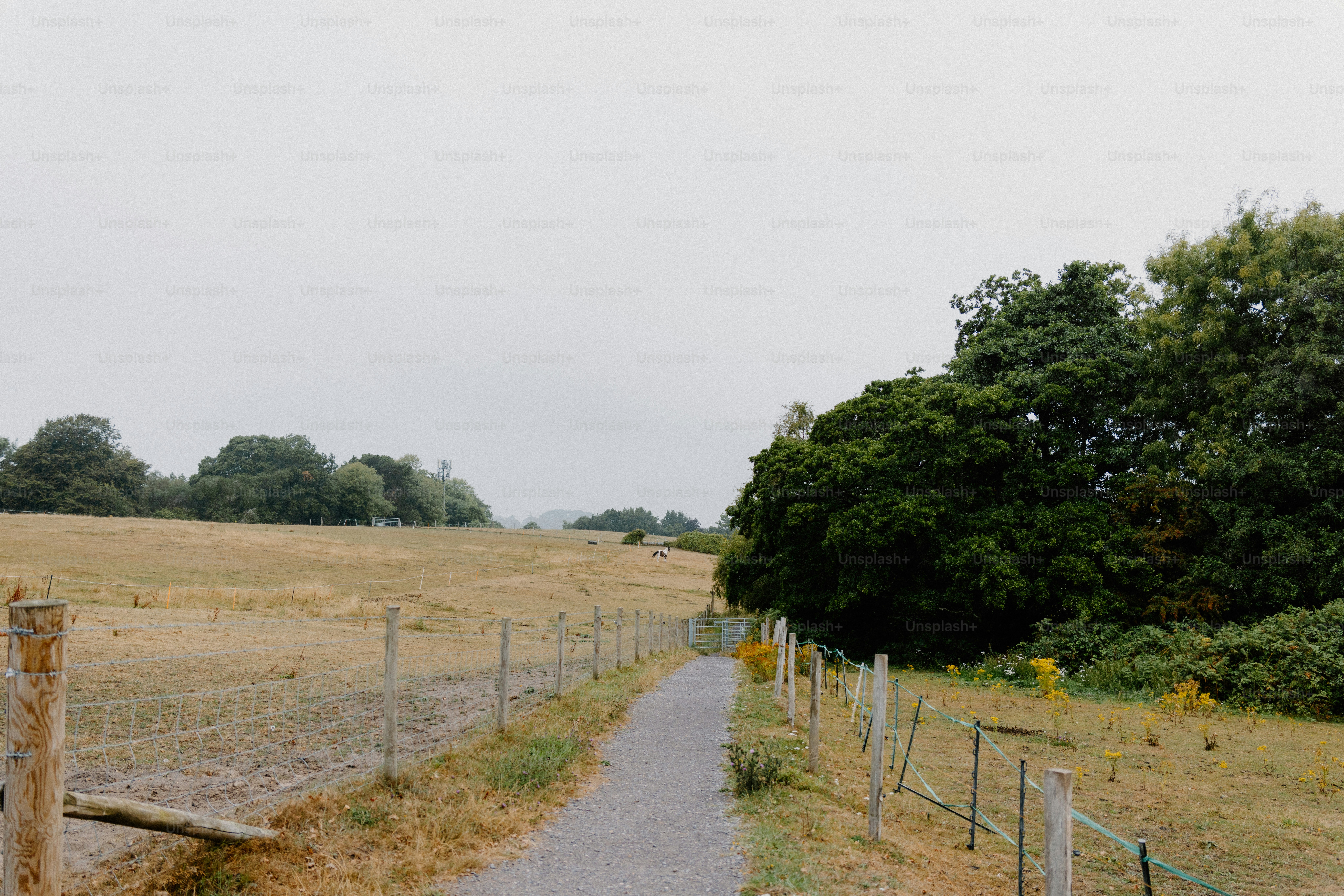 A path leads through a field on a cloudy day.