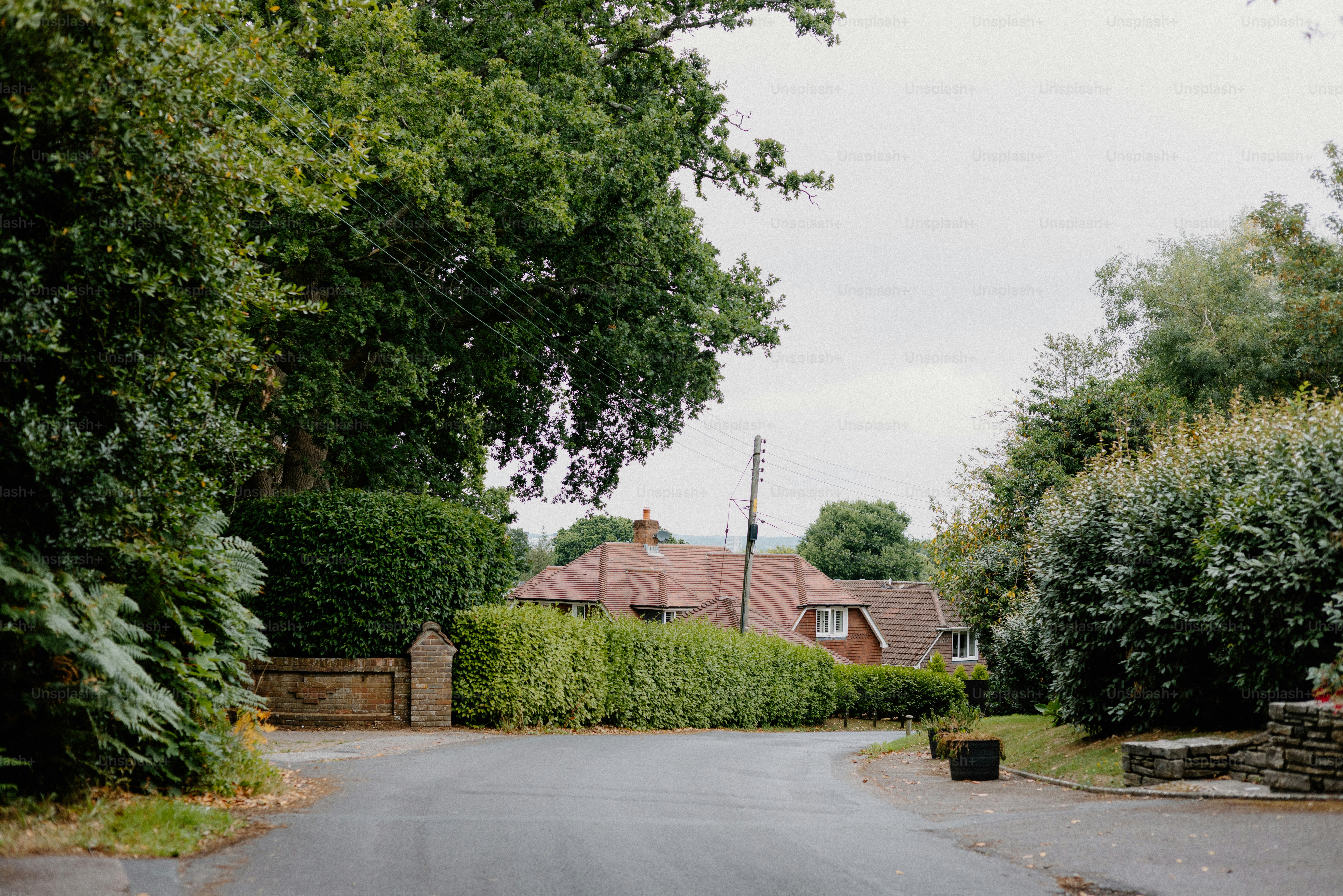 A quiet road leads to houses amidst nature.