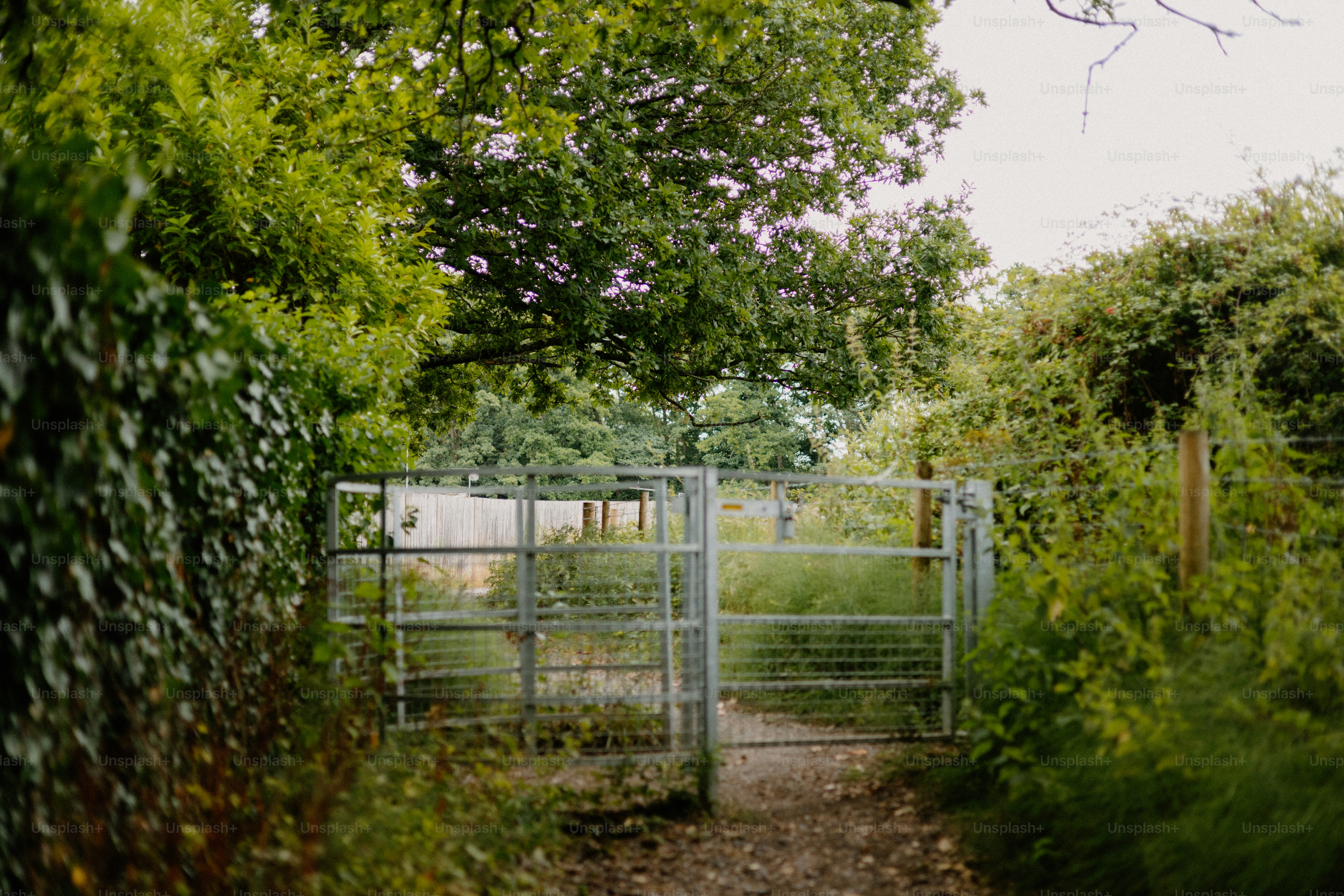 Ein Metalltor führt in einen üppigen, grünen Weg.