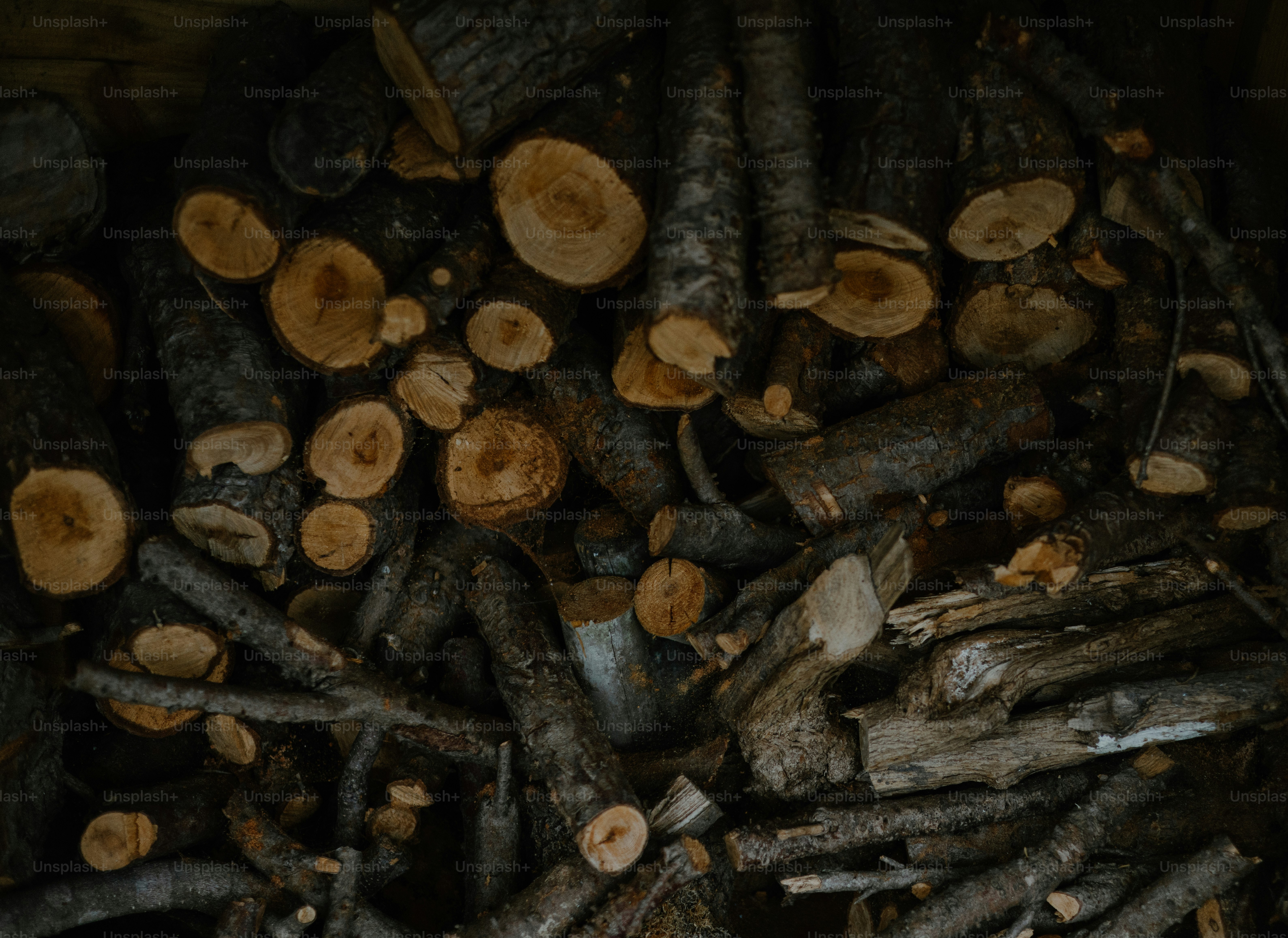 Firewood logs are neatly stacked and ready to burn.