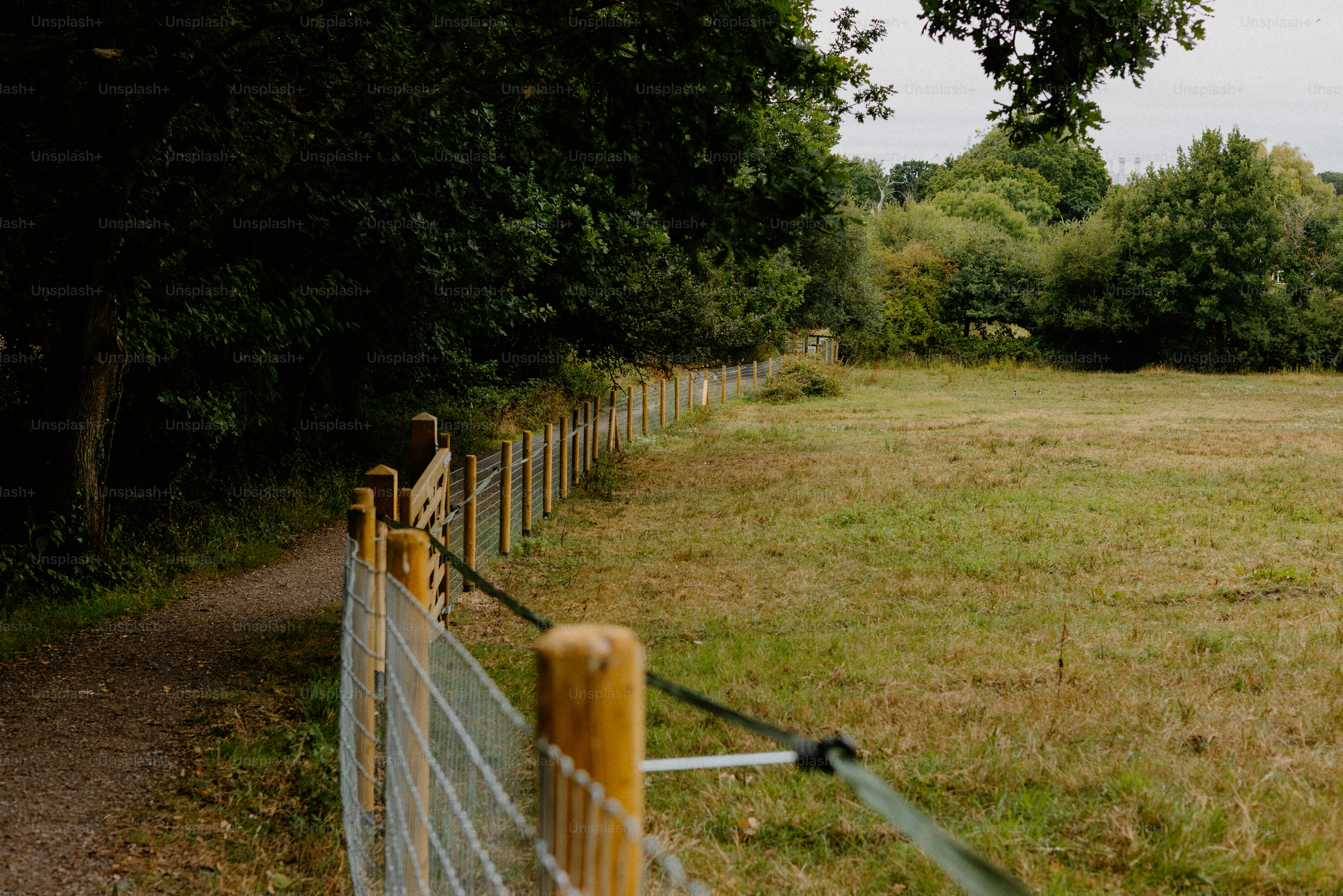 A fence runs alongside a grassy path.