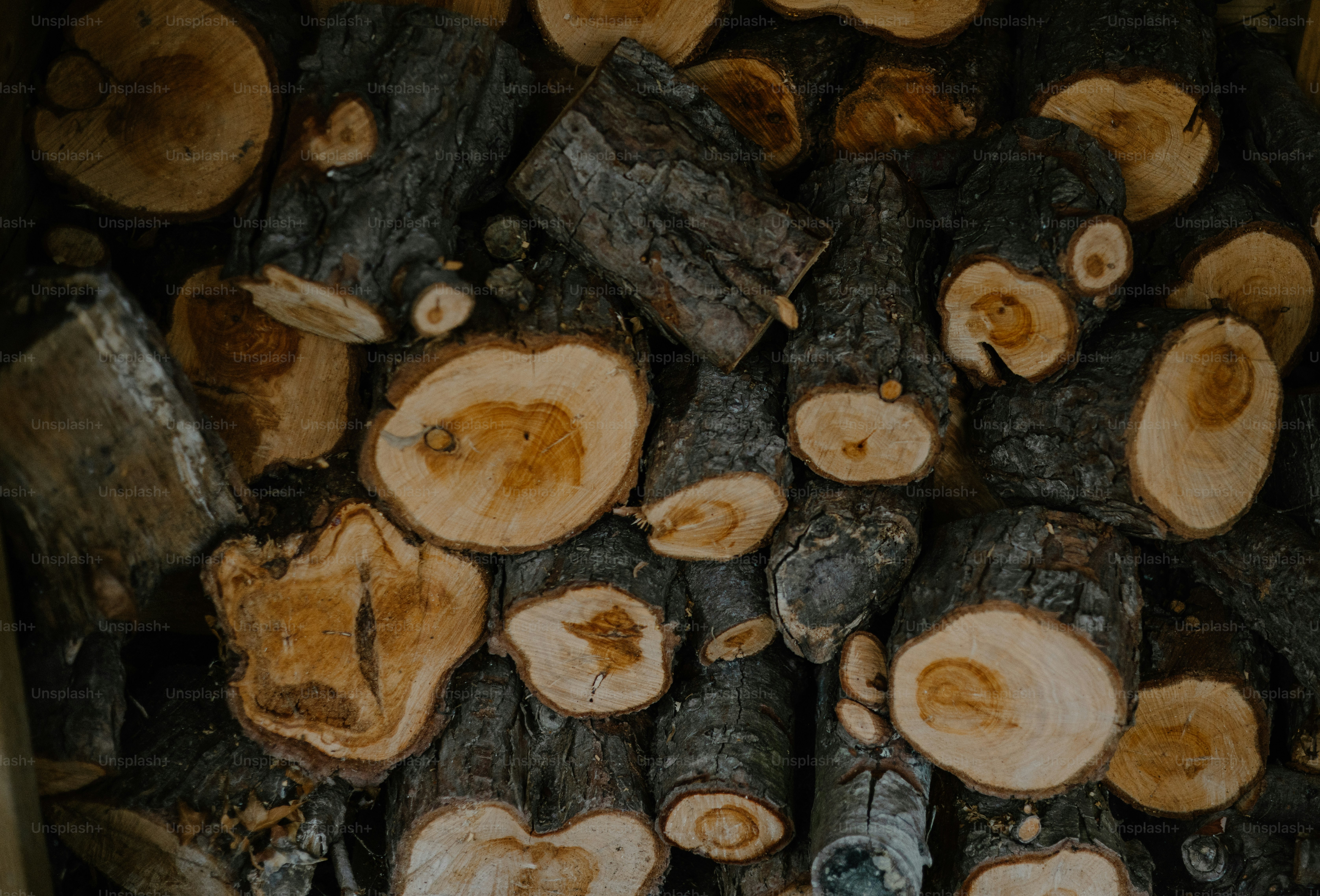 Here's a caption for the image: **wood logs are stacked together.**