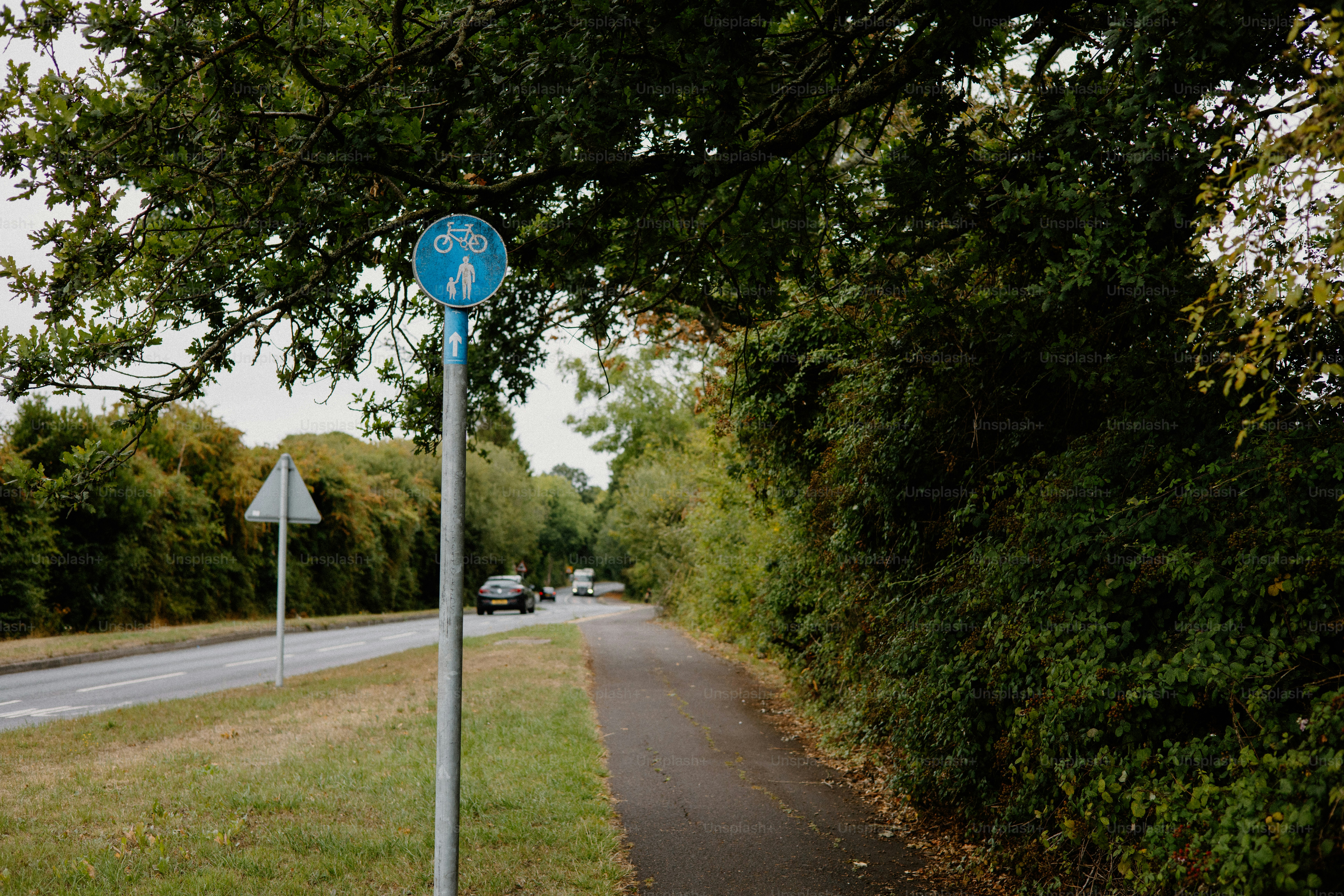A bike path is shown with road and greenery.