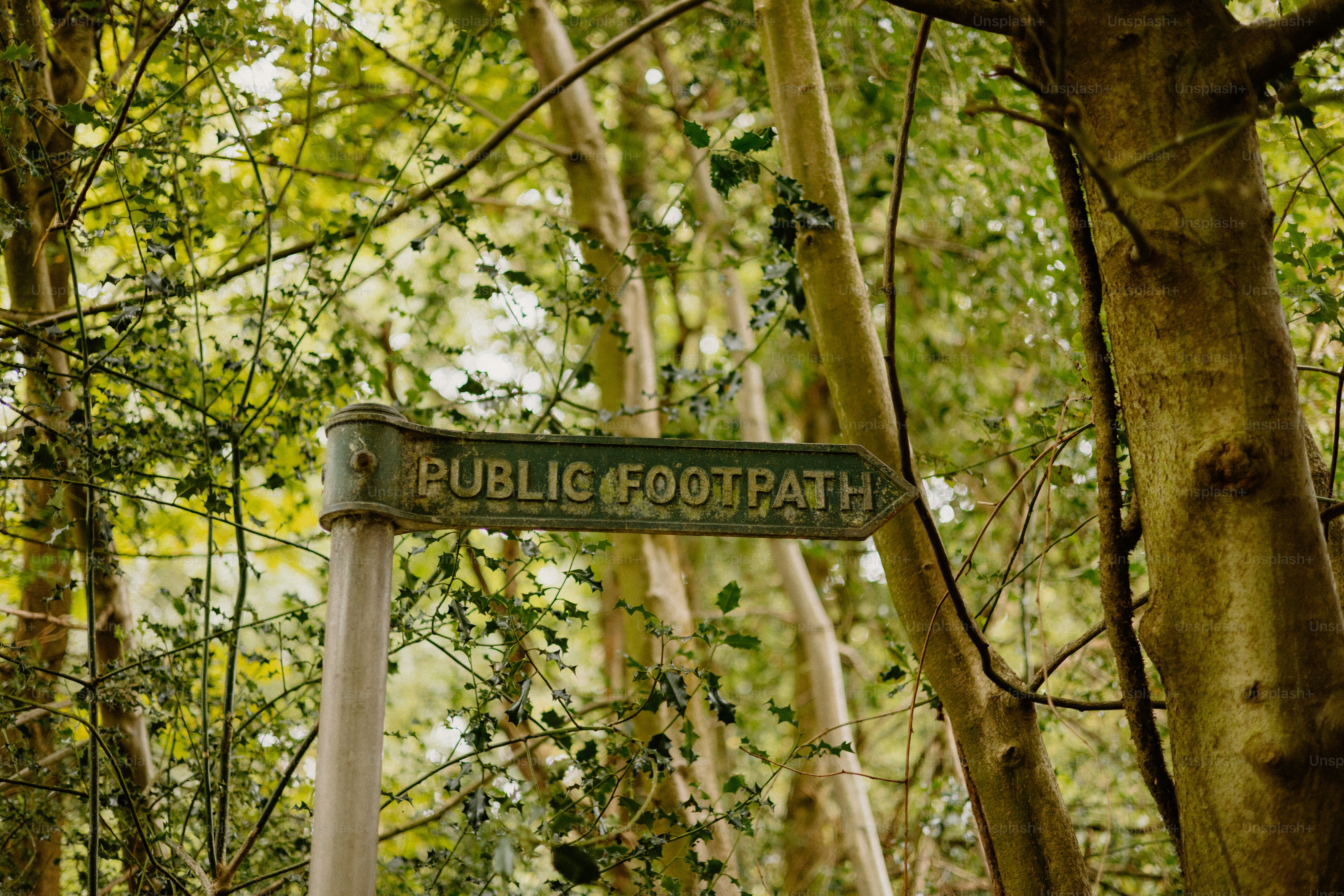 Public footpath signpost amidst the trees.