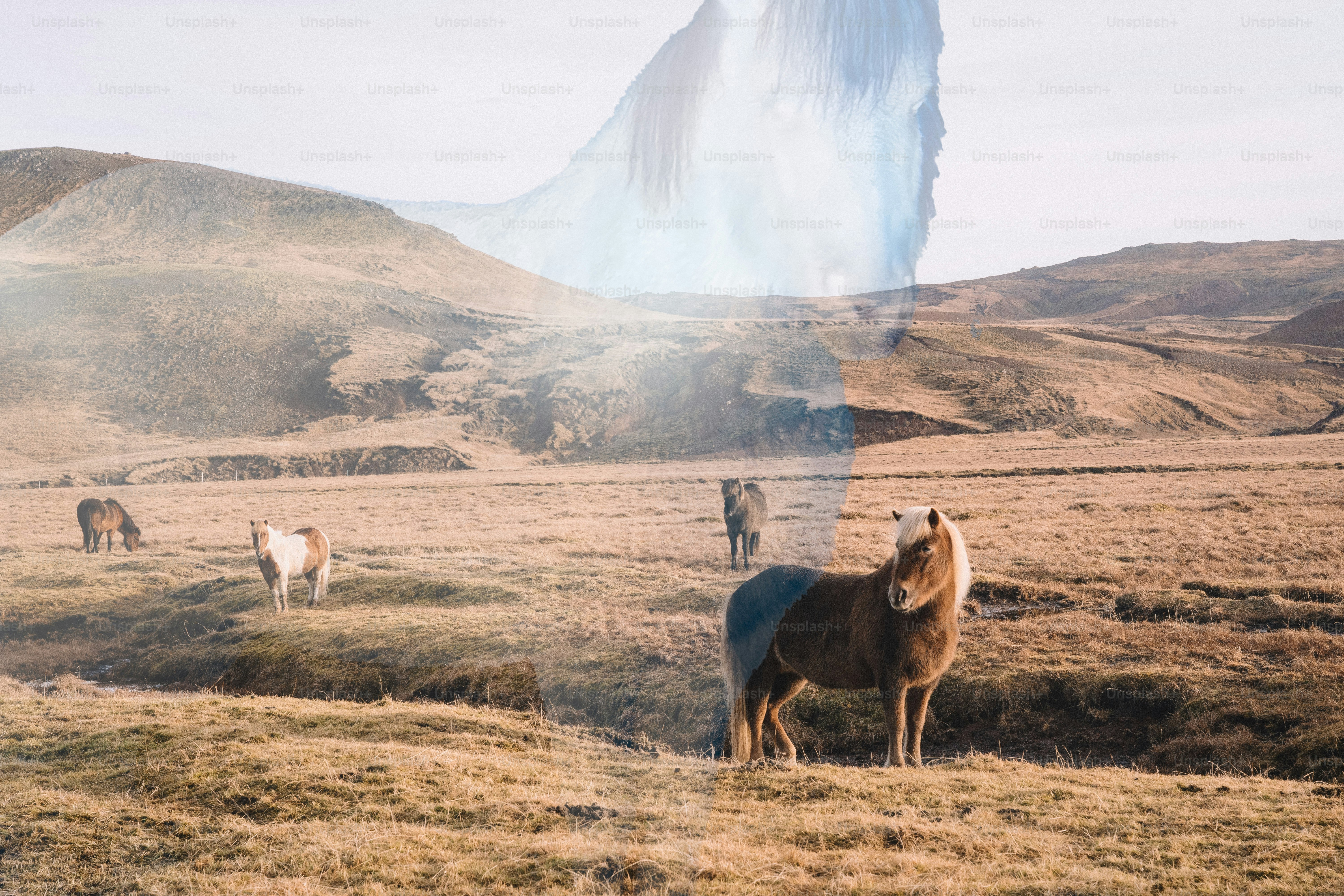 Horses graze in a field beneath a waterfall.
