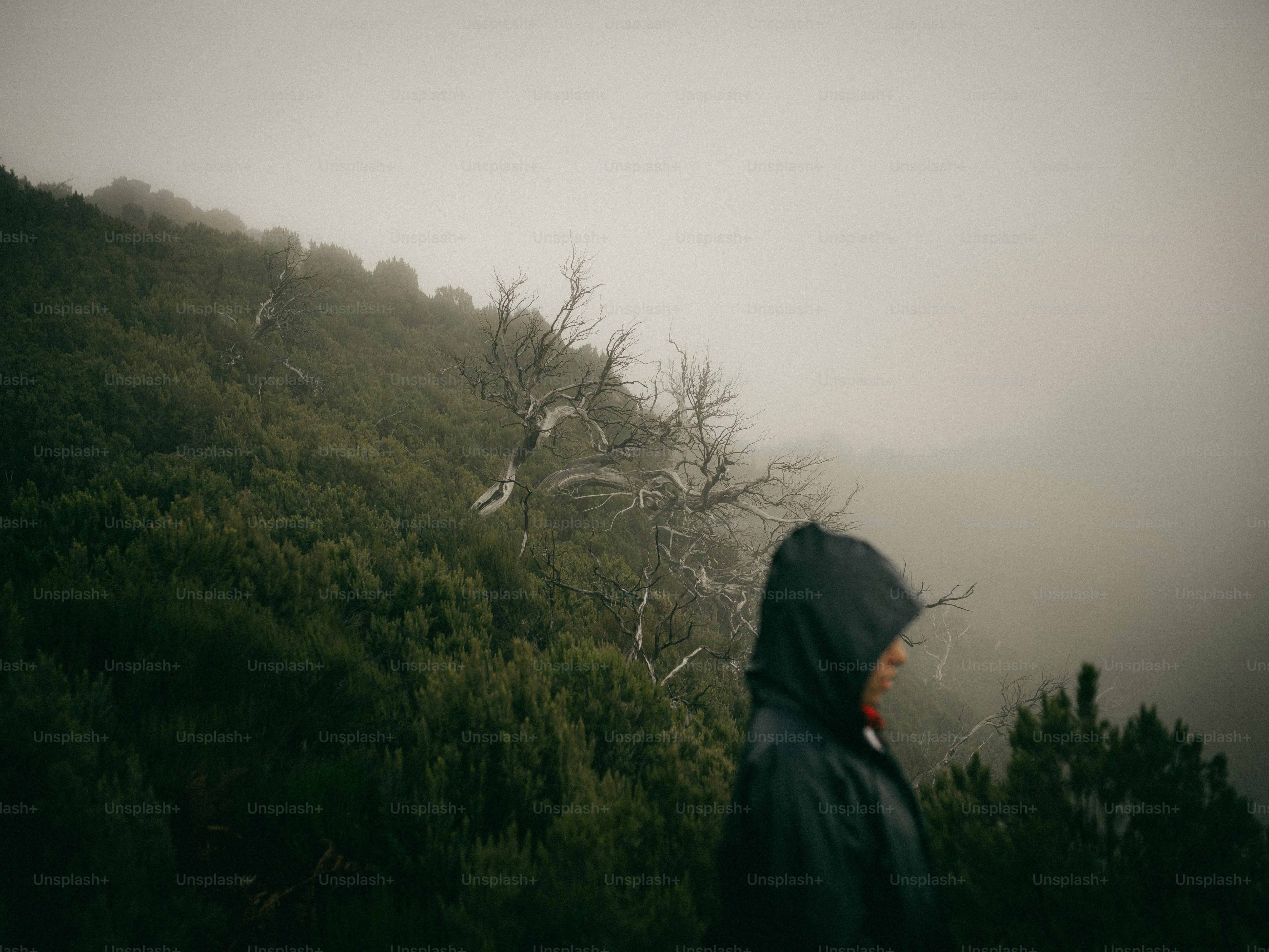 Person in hood enjoys a foggy hillside view.