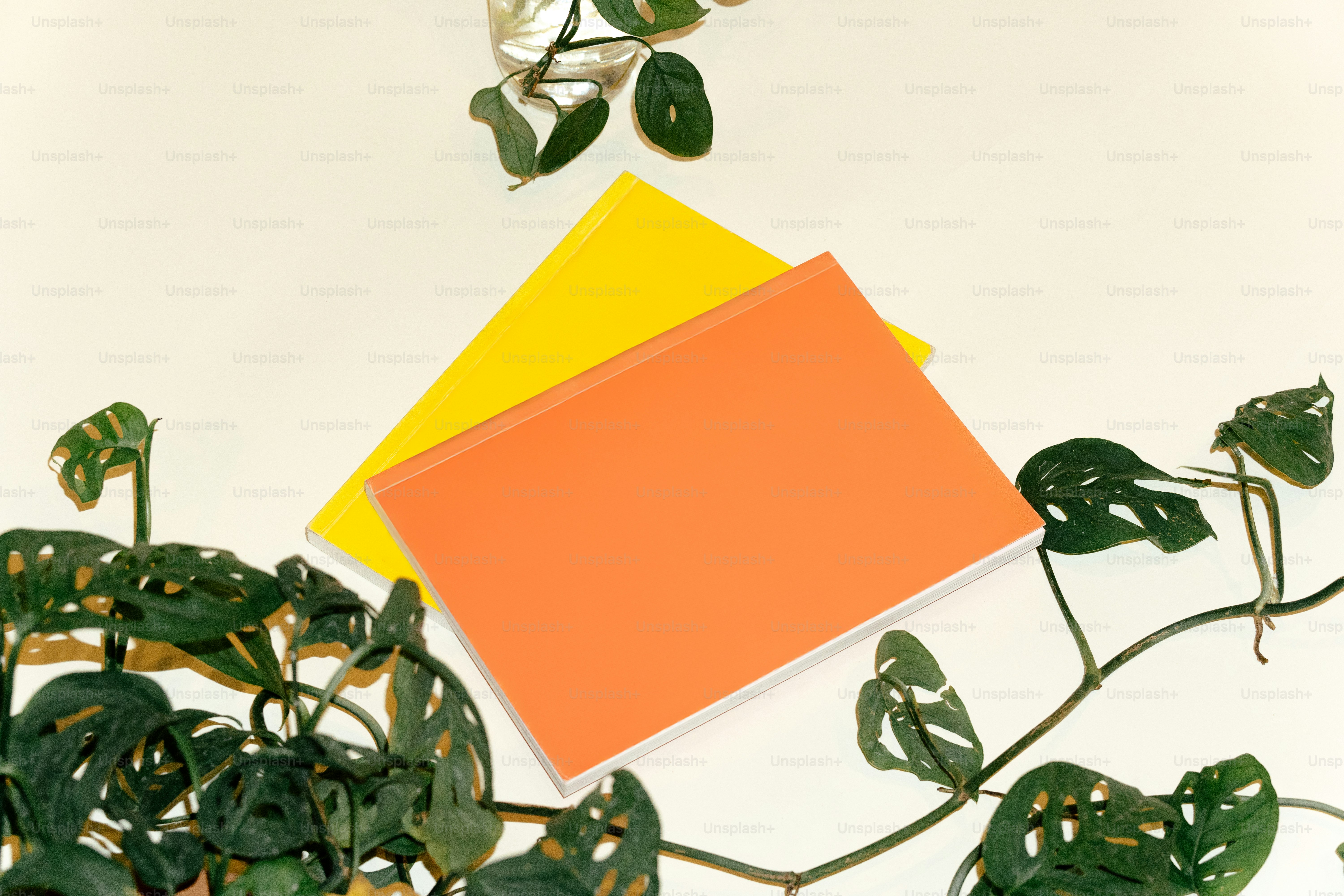Books and foliage displayed on a plain backdrop