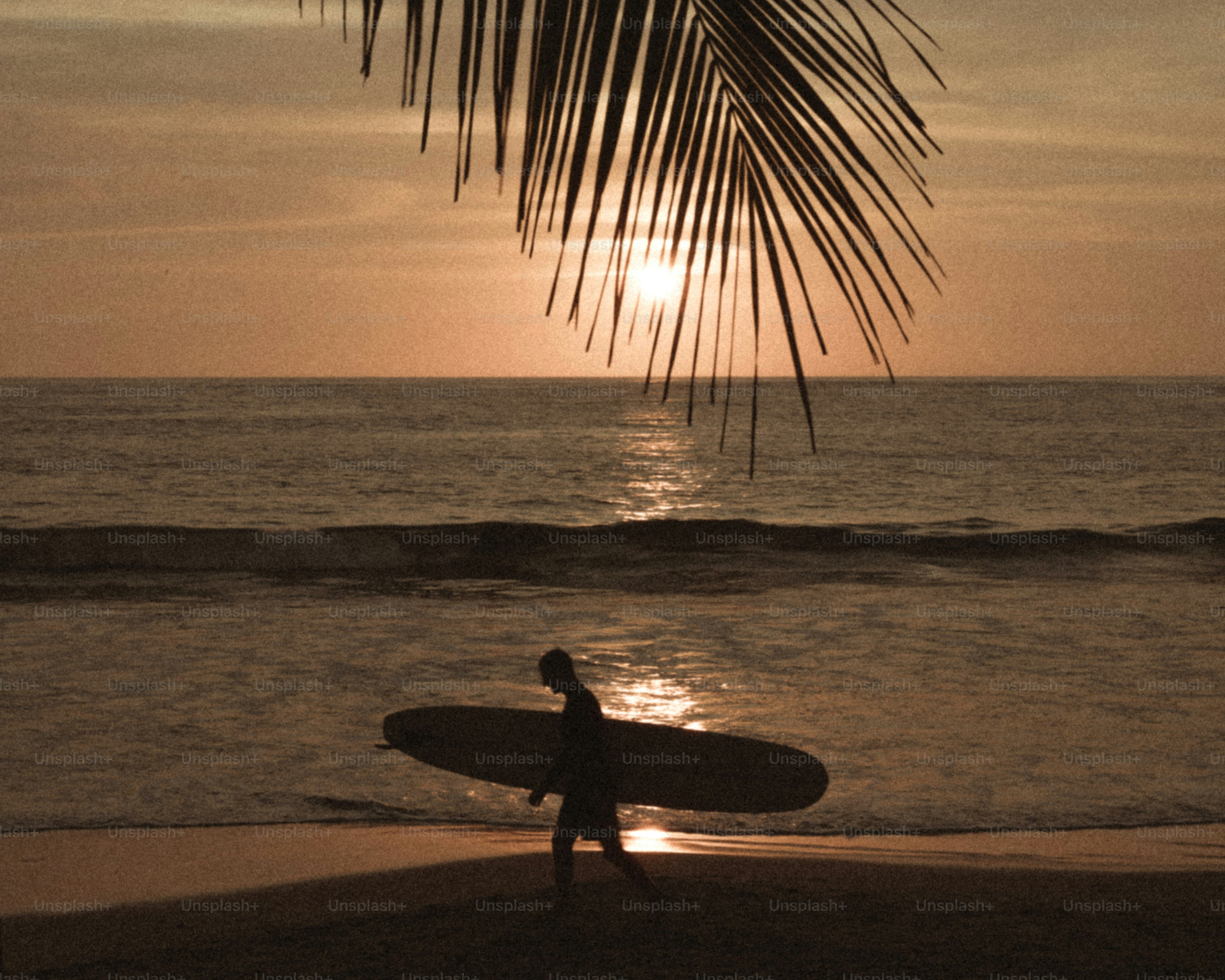 Surfer walks on beach at sunset.