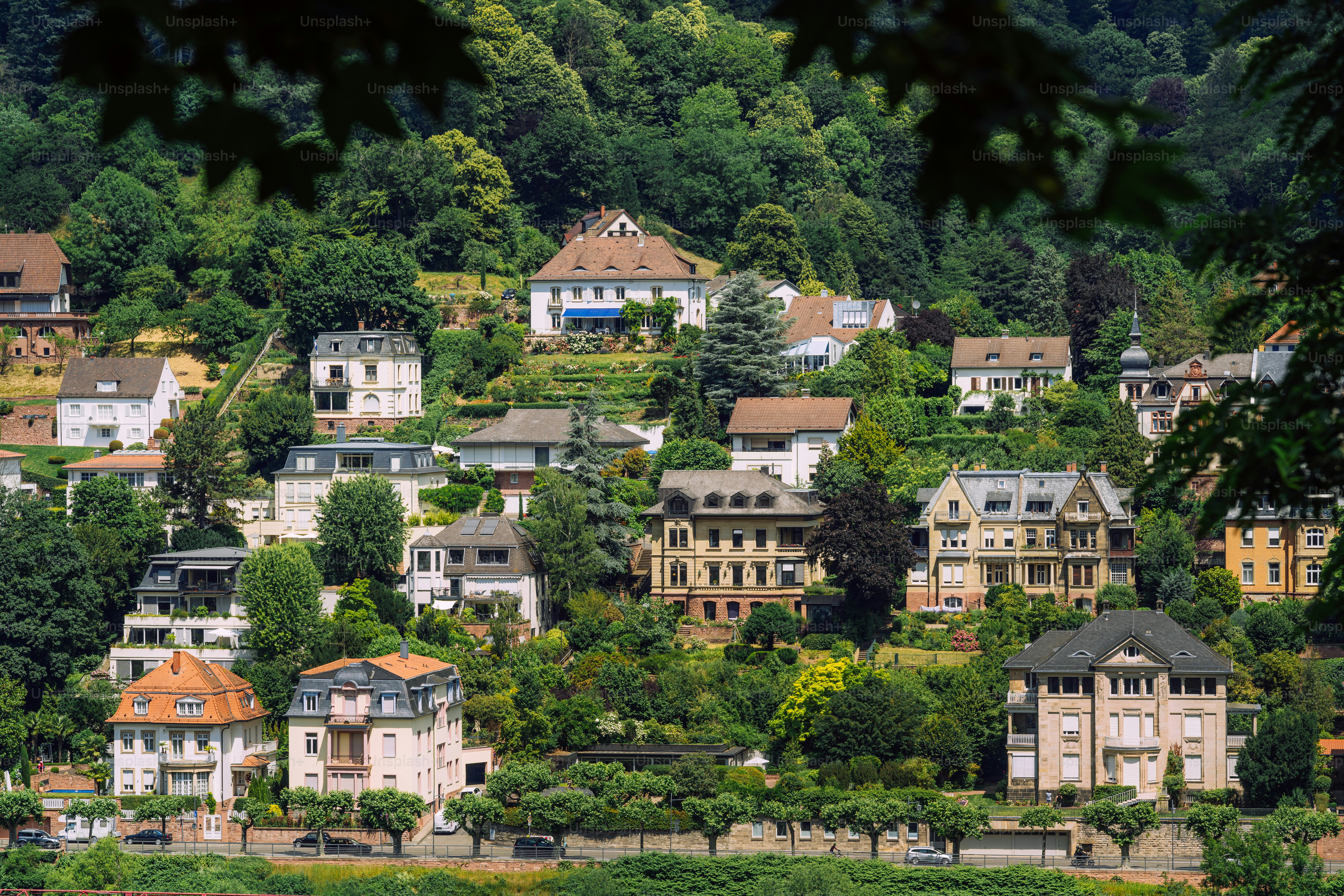 Charming hillside homes in Heidelberg, Germany, showcasing beautiful residential architecture surrounded by lush greenery and forests.