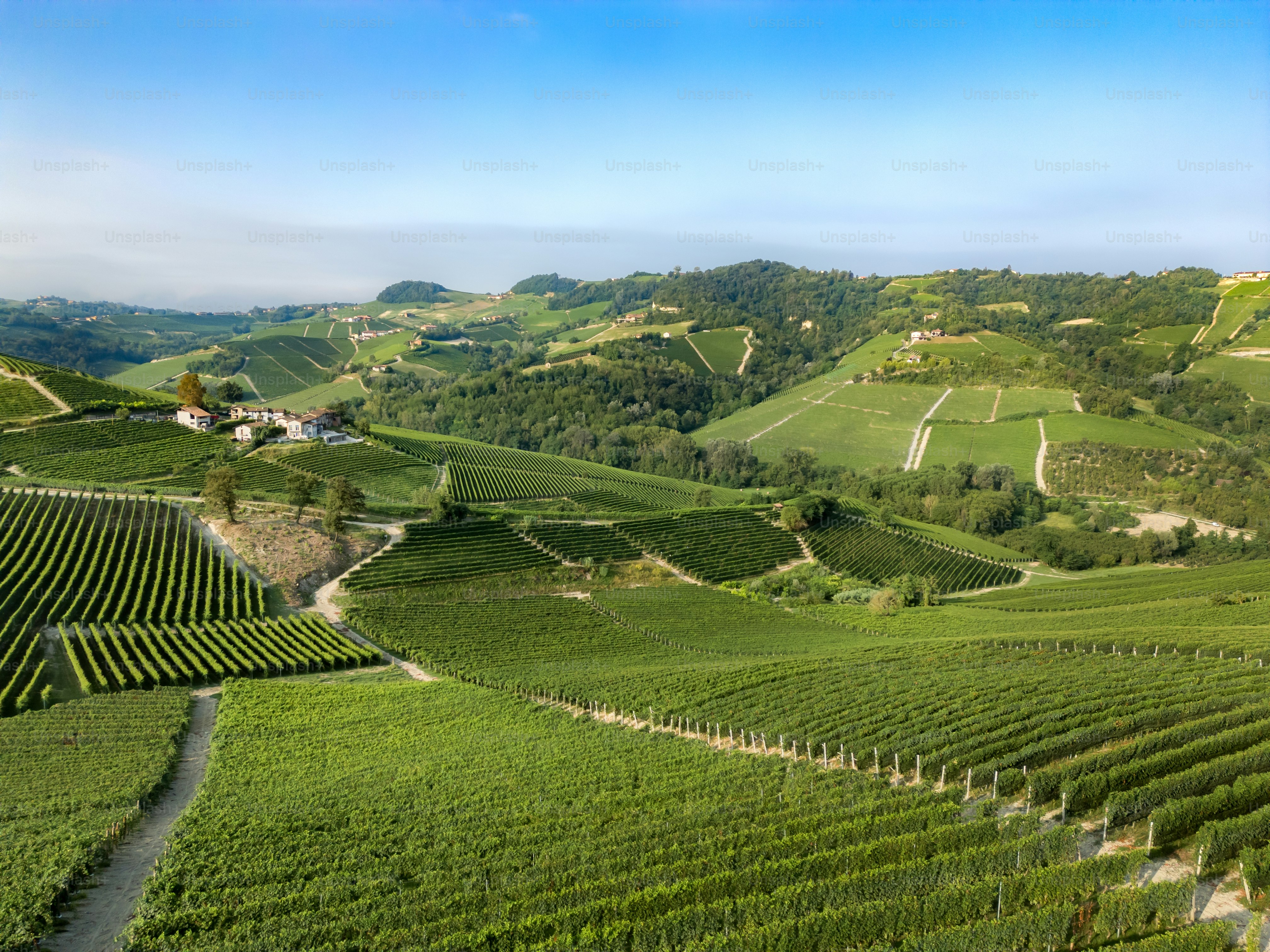 Serralunga d'Alba, vigneti da drone, Piemonte
