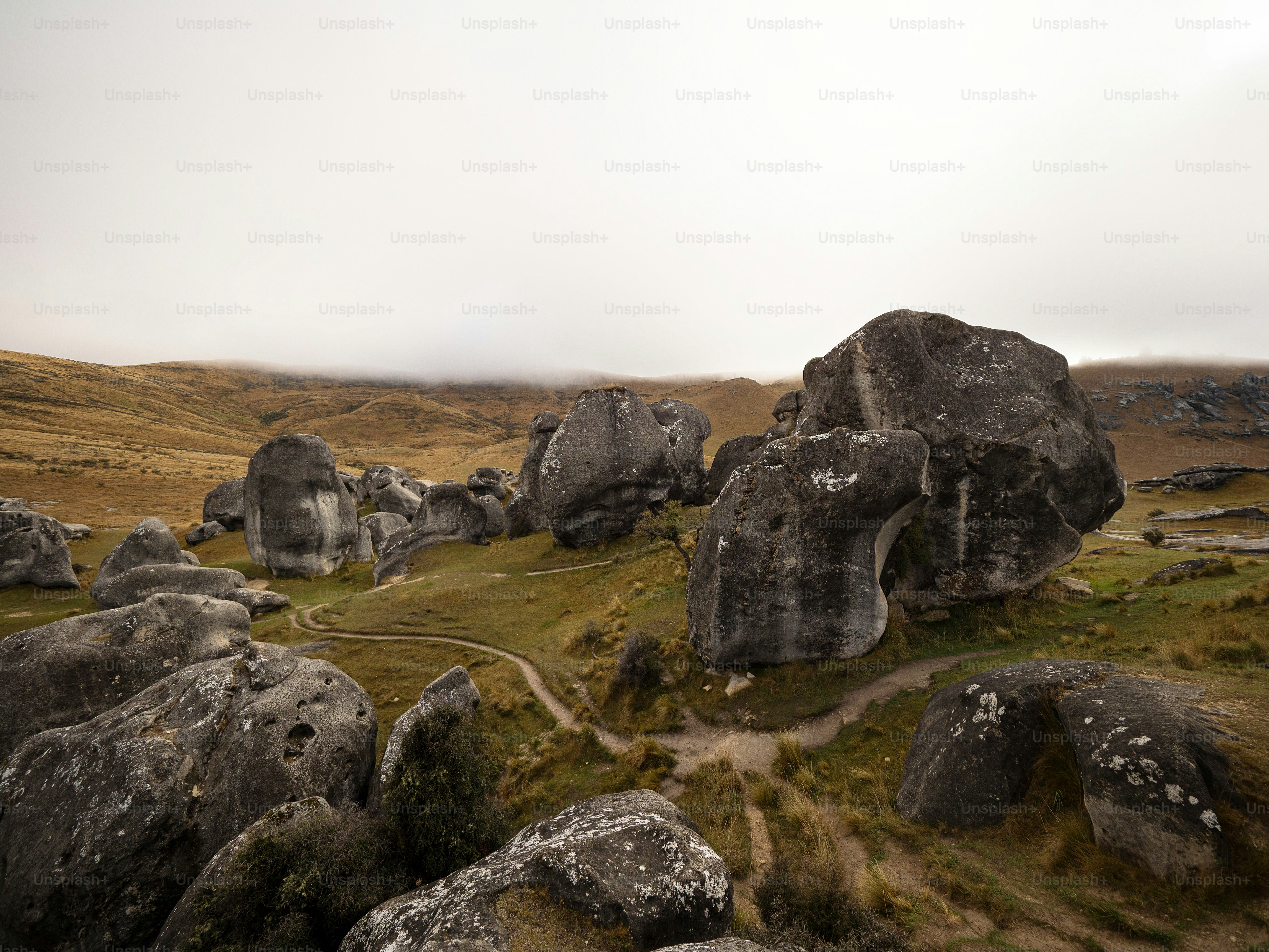 Nature landscape panorama view of large limestone boulder rocks in dry grass vegetation at Castle Hill countryside park in Canterbury South Island New Zealand