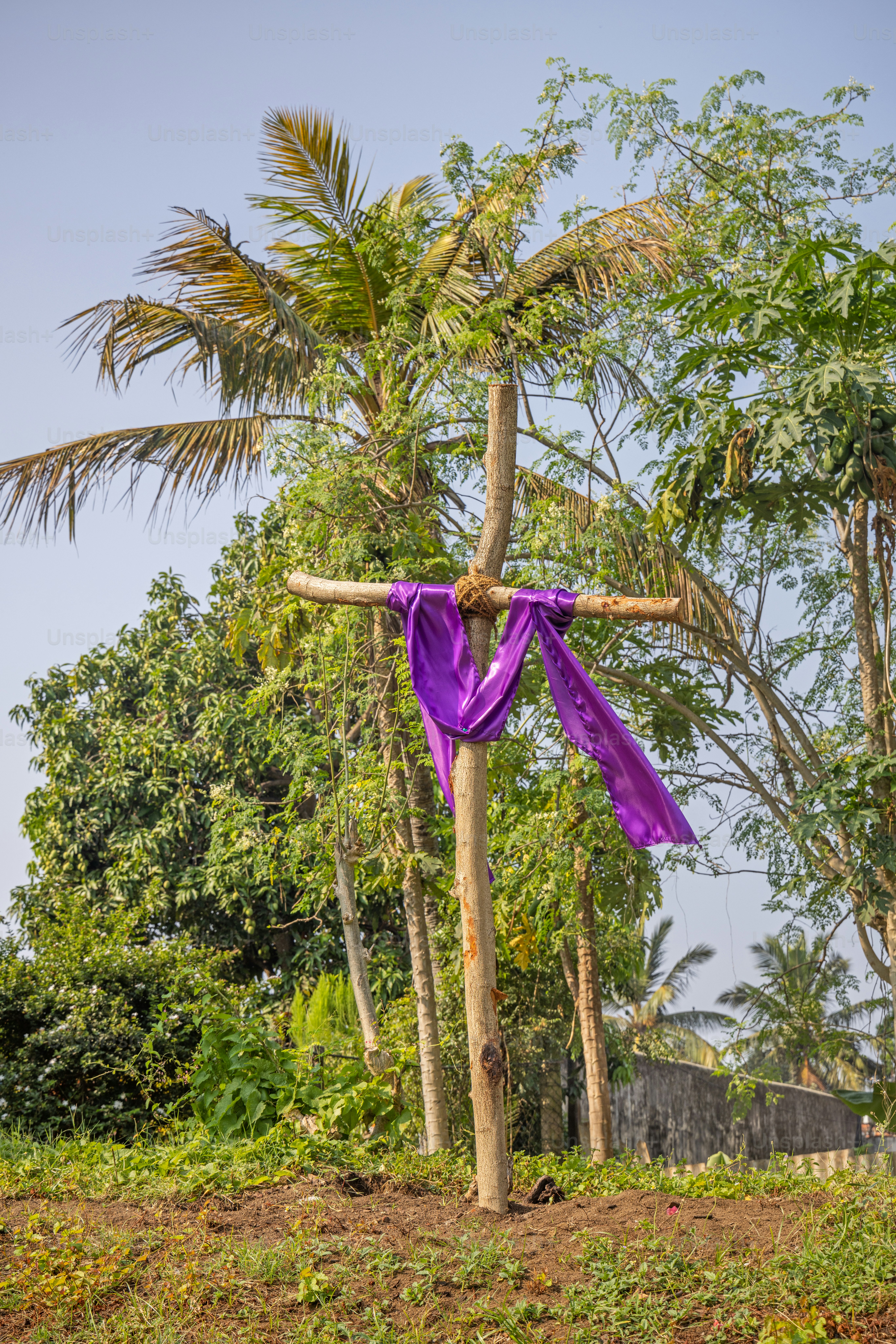 Croix avec un tissu violet devant un cocotier pour marquer la prochaine Pâques devant l’église Saint-Étienne à Negombo au Sri Lanka