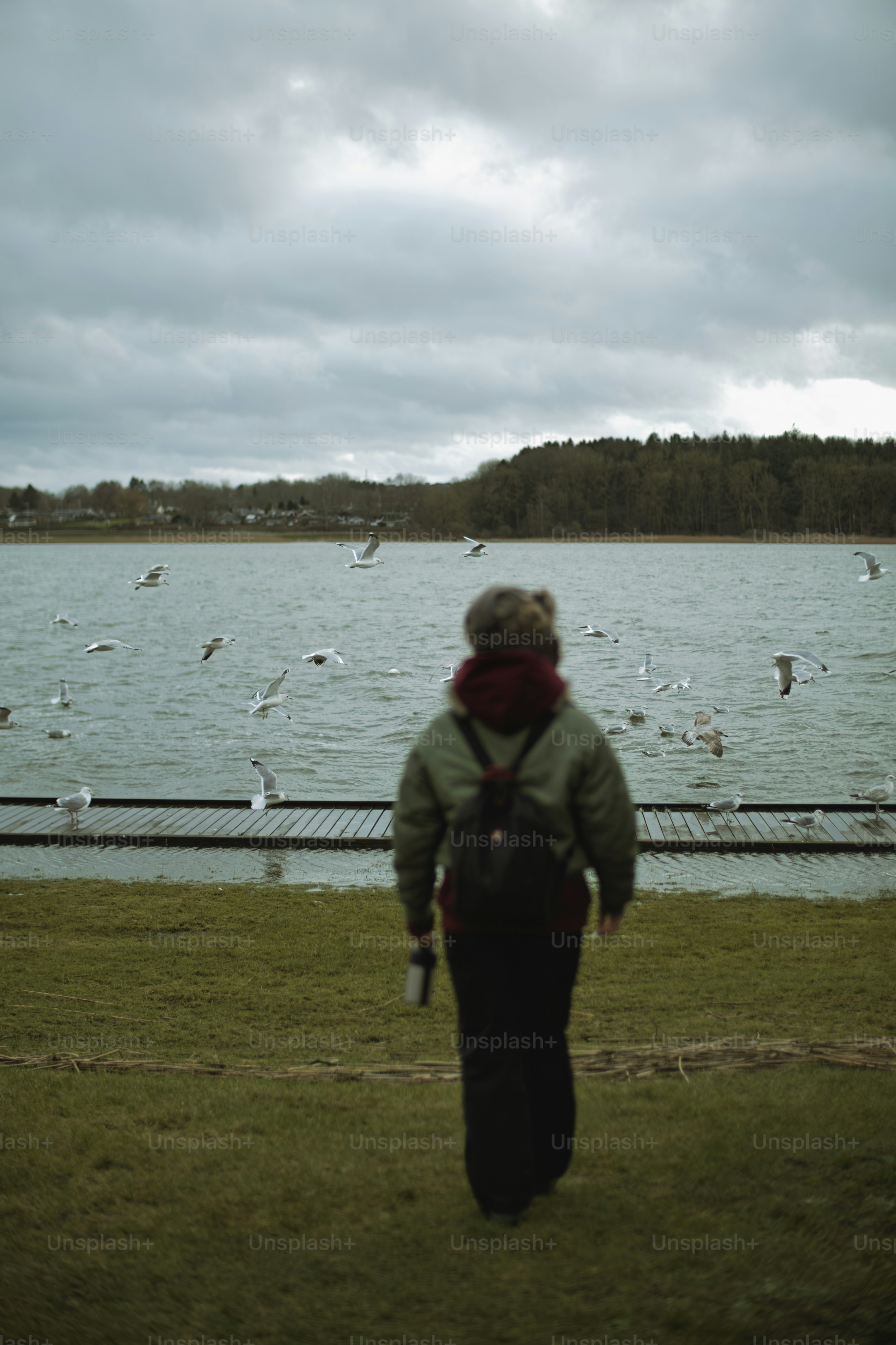 La persona cammina verso il lago con i gabbiani volanti.