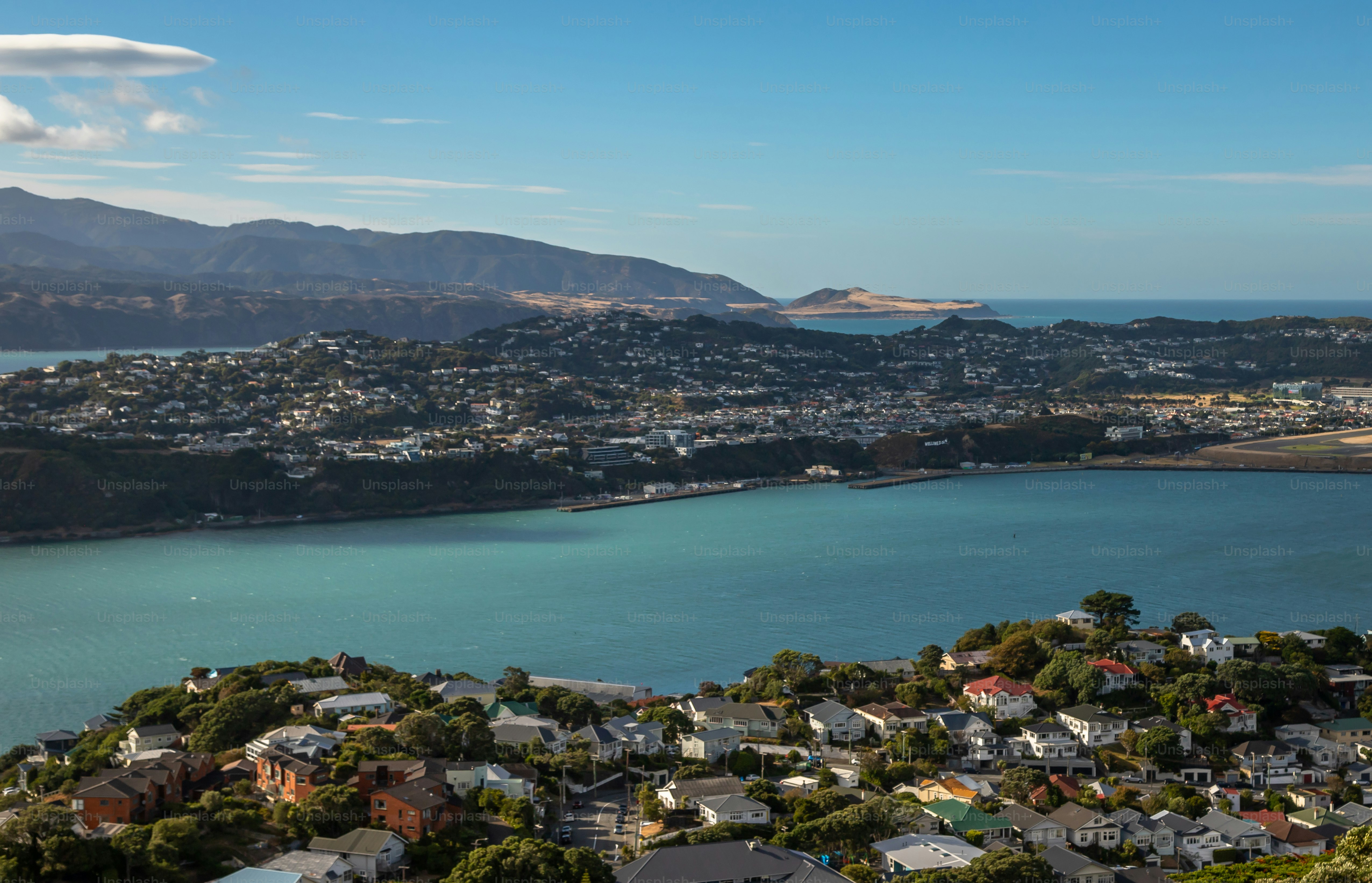 뉴질랜드의 수도 웰링턴, 즉 빅토리아 산에서 바라본 중심업무지구의 노출, 아름다운 화창한 날, 호주