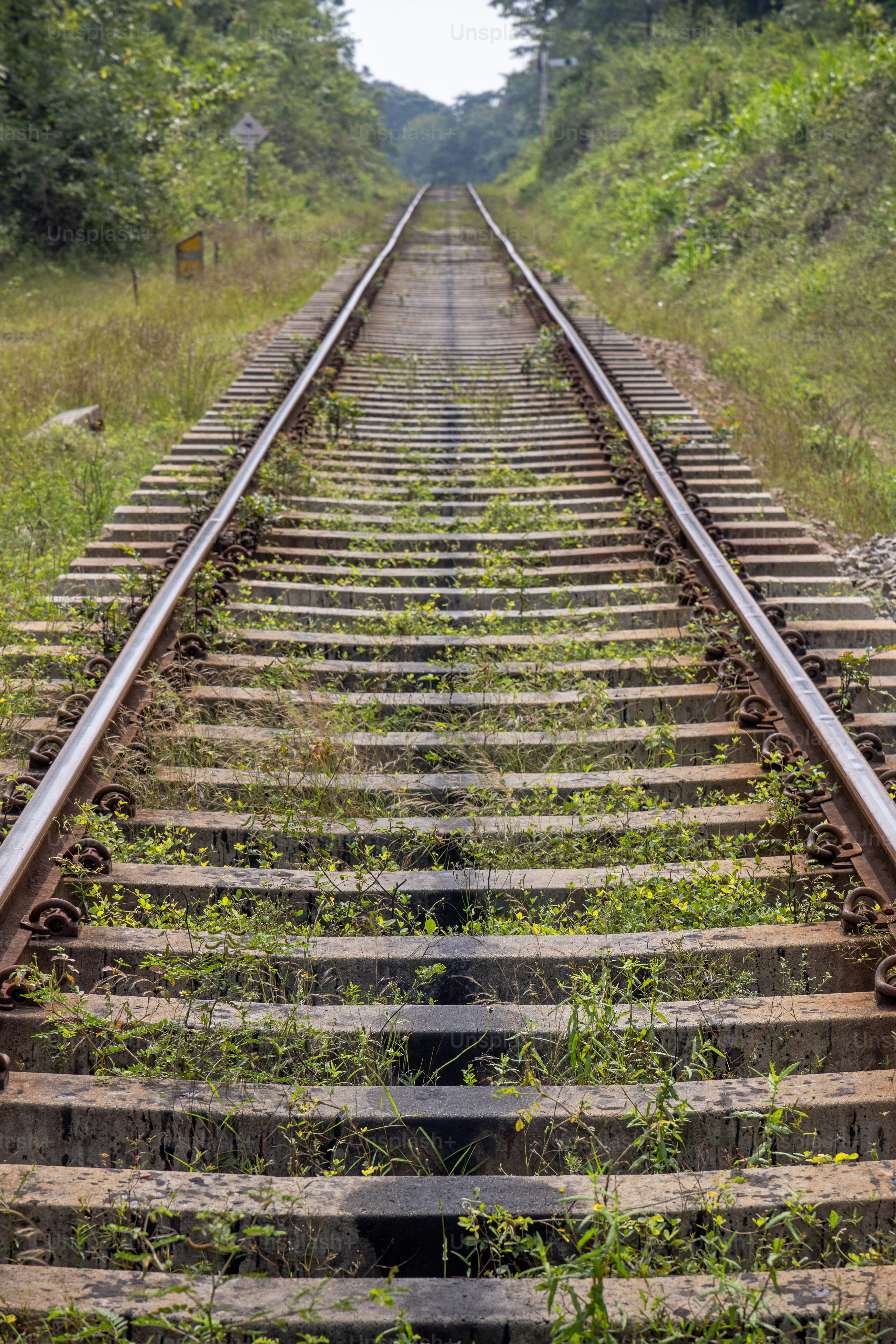 Jalur kereta api yang terawat dengan baik melalui hutan di Habarana di Sri Lanka tengah