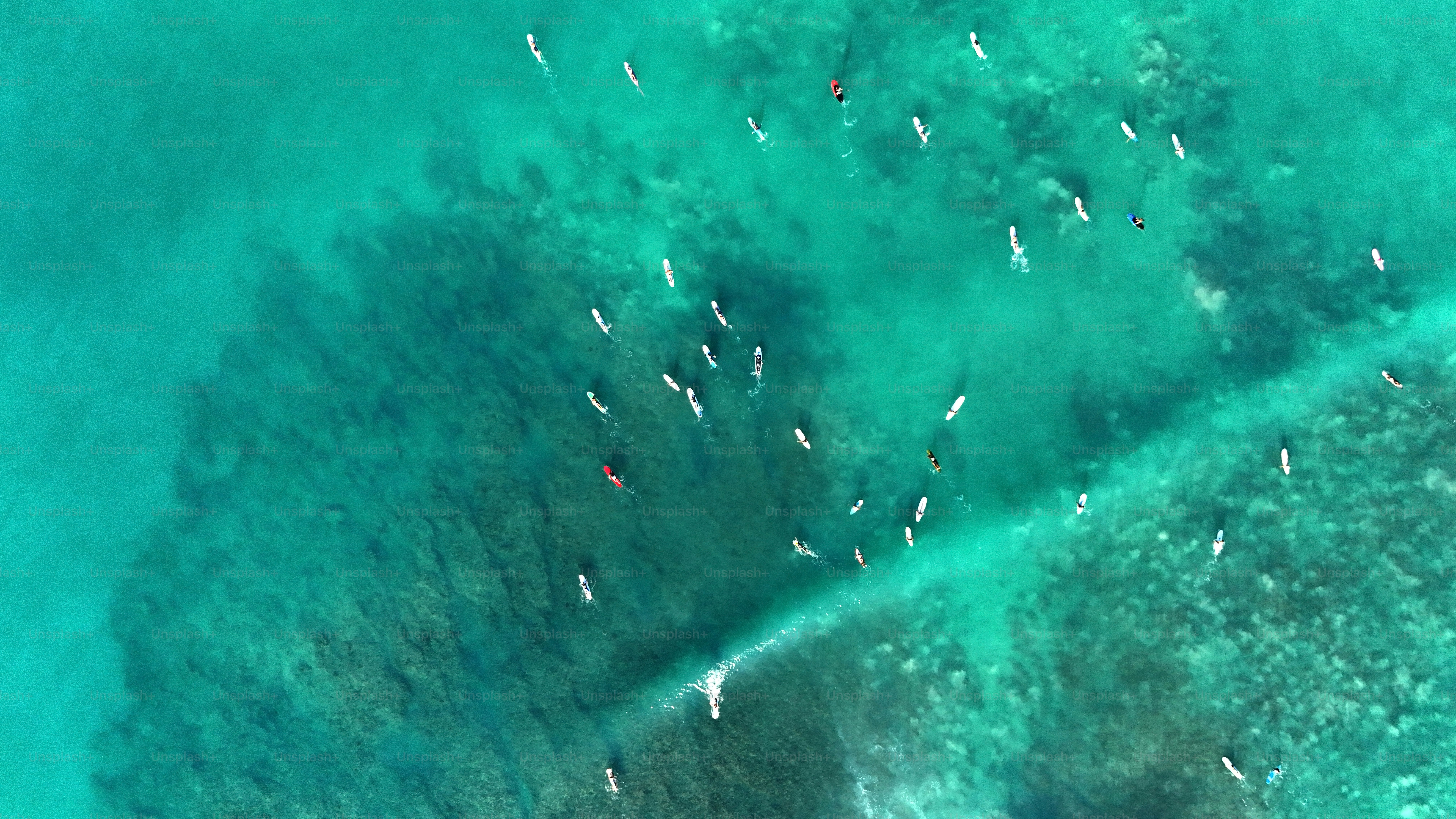Pemandangan panorama udara teratas dari para peselancar yang menunggu ombak besar di Pantai Waikiki pada hari yang cerah di O'ahu, Hawaii - AS.