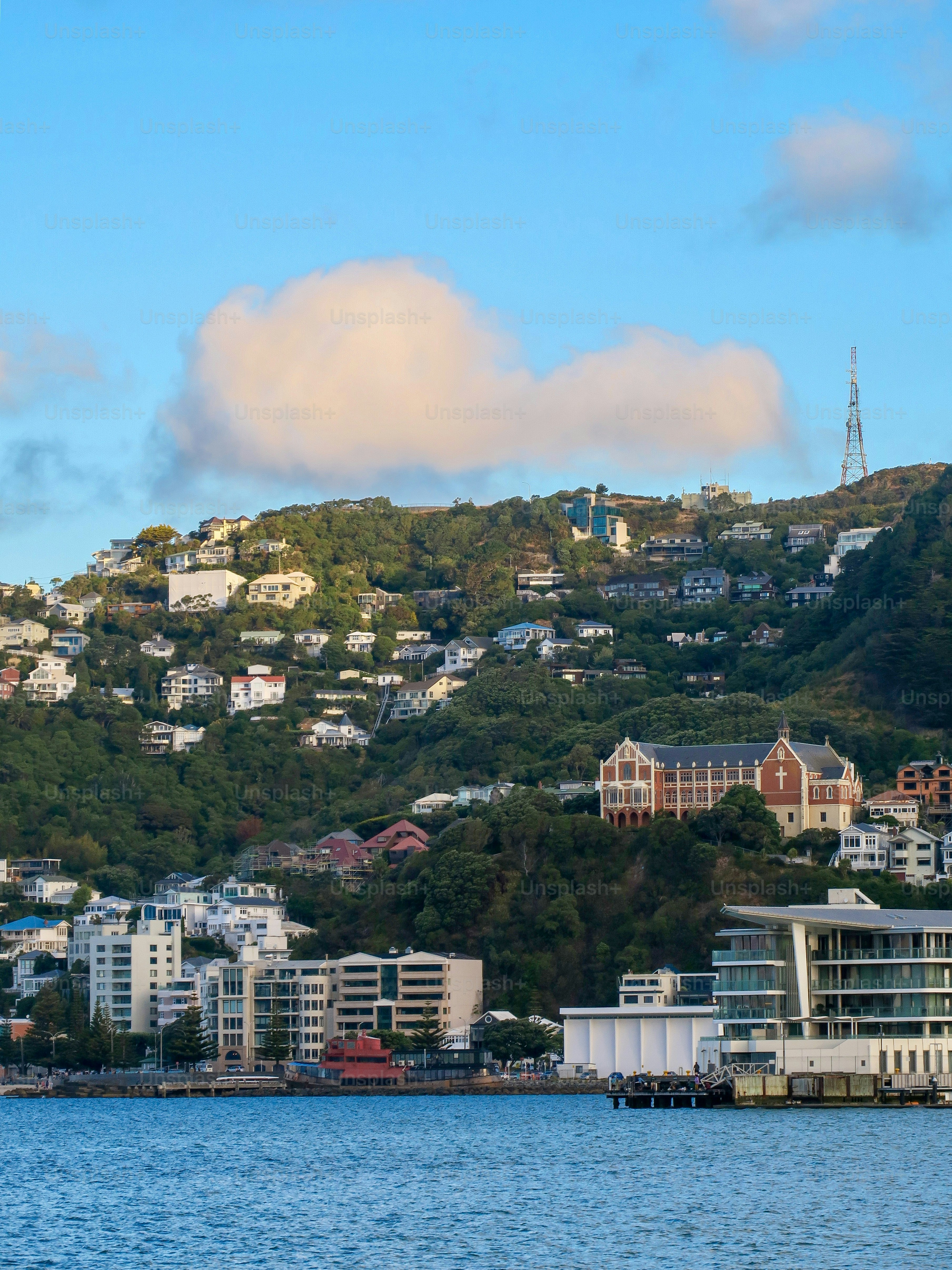 Wellington, North Island, New Zealand.