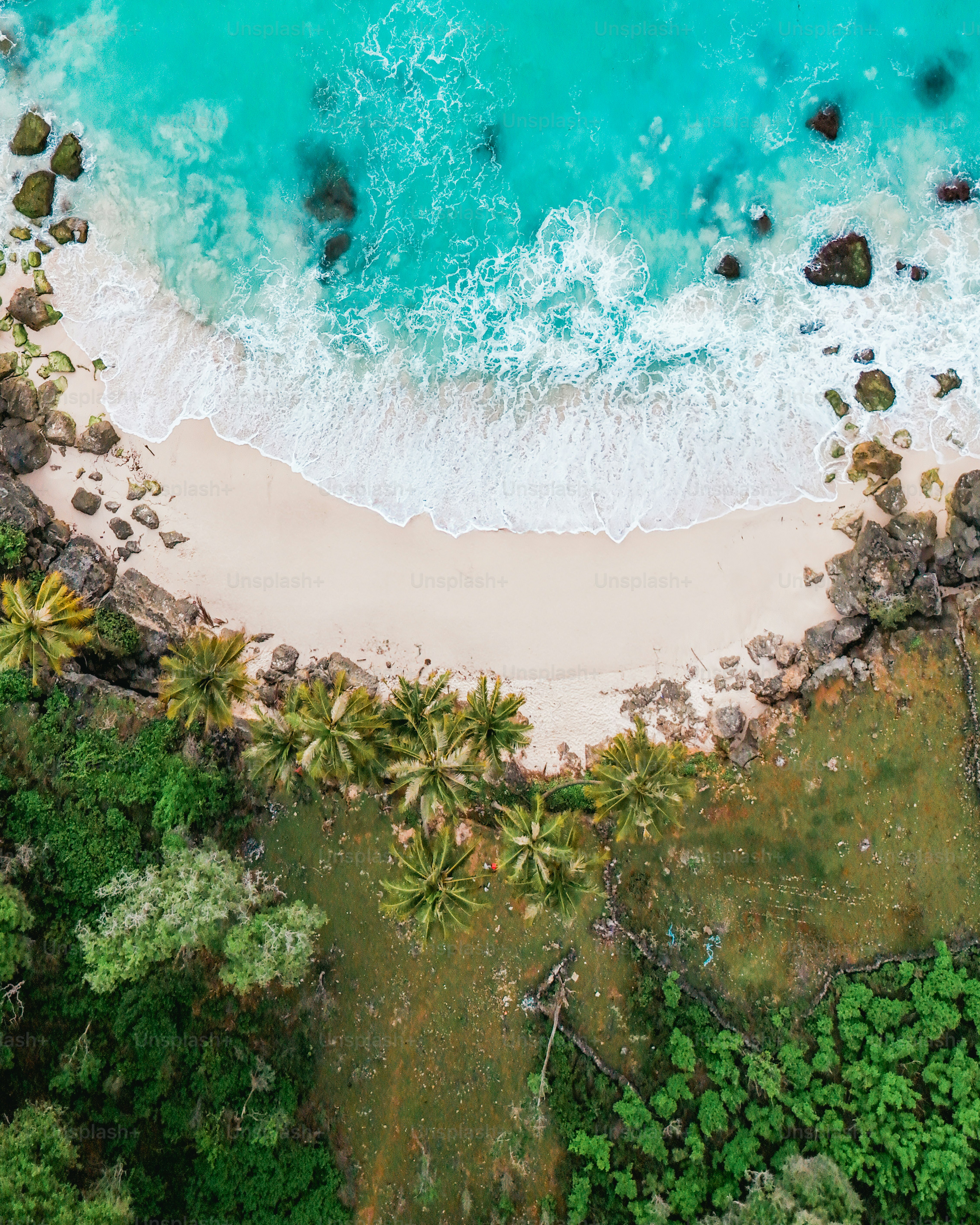 Tropical : [HQ], Tropical Beach Paradise Sunset, HD phone wallpaper | Peakpx, image size:3000x3750