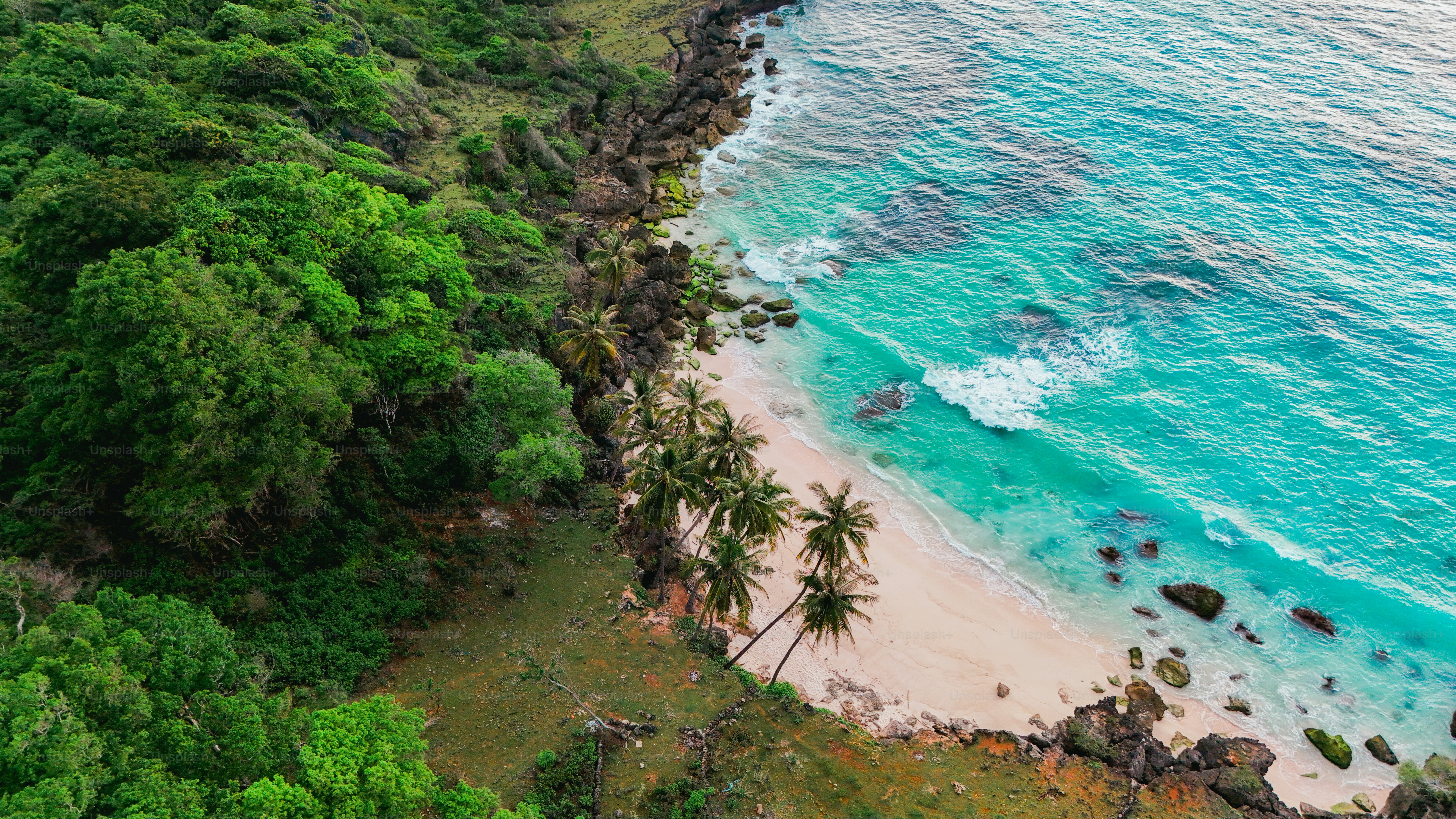 Aerial view of a tropical palm beach with turquoise waves and soft ...