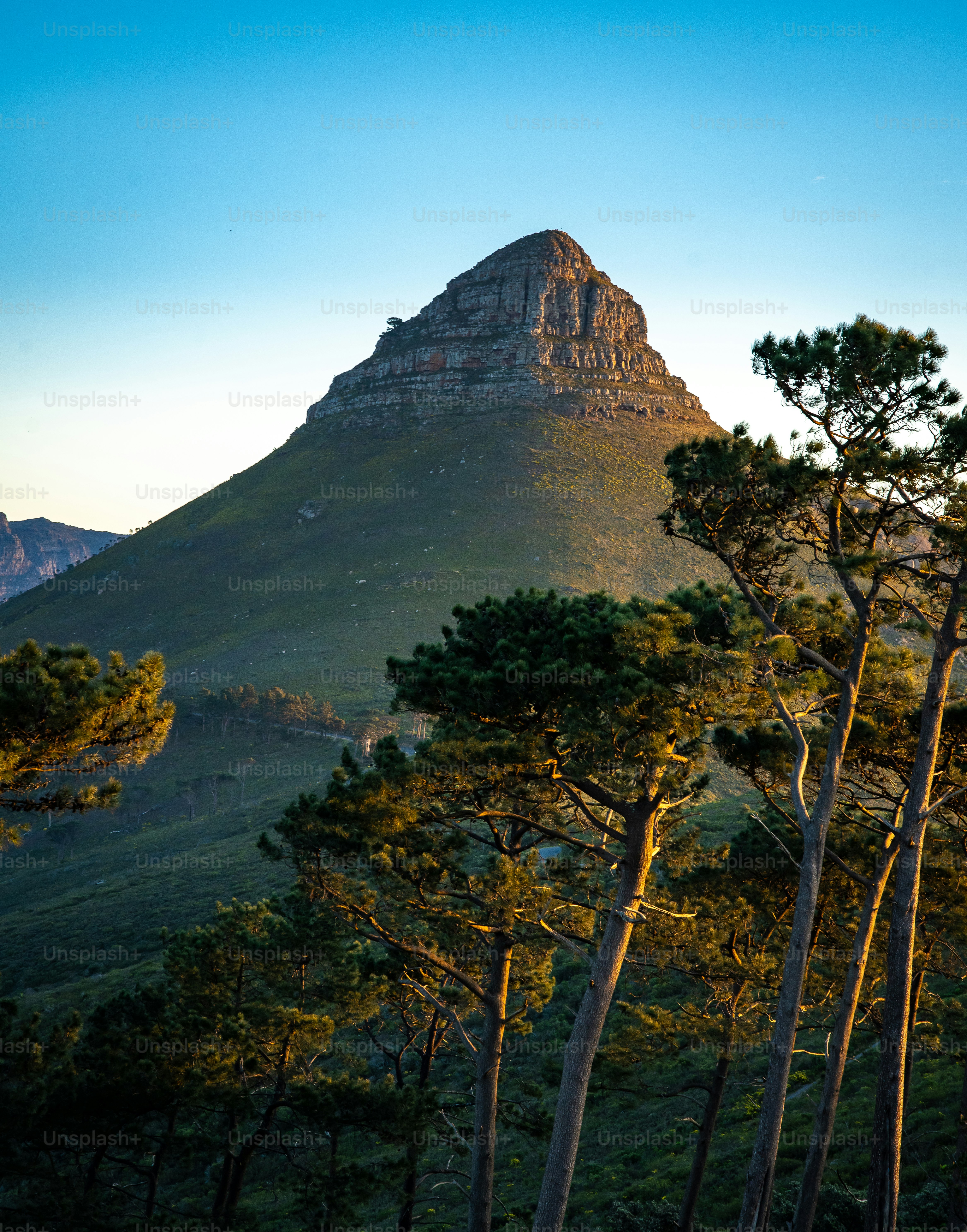 Signal Hill sunset viewpoint over Cape Town in Western Cape, South Africa. High quality photo