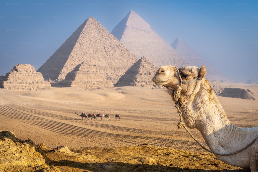 Why Egypt Is Still the Ultimate Bucket List Adventure - Modern Trav… — Why Egypt Is Still the Ultimate