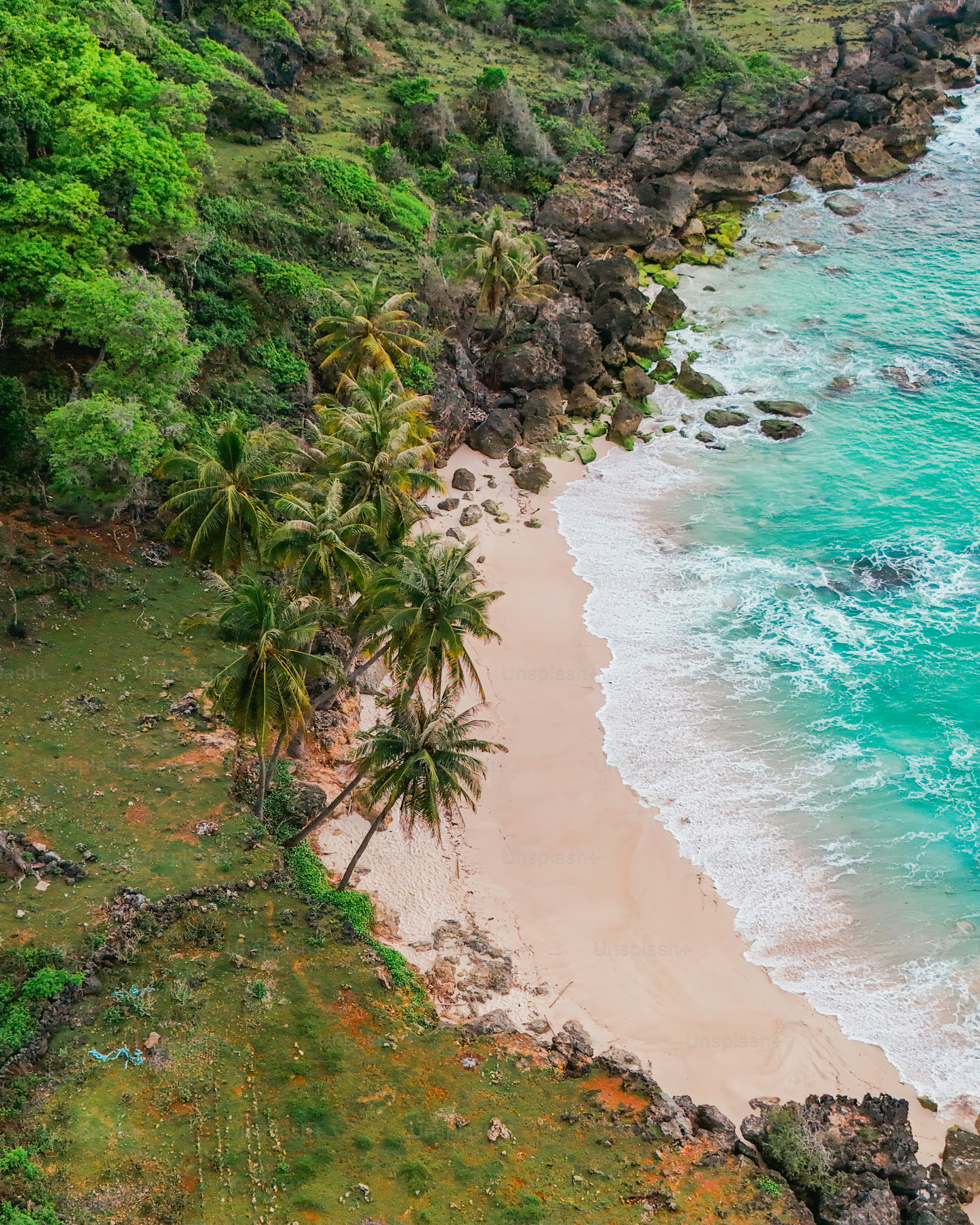 Aerial view of a tropical palm beach with turquoise waves and soft ...