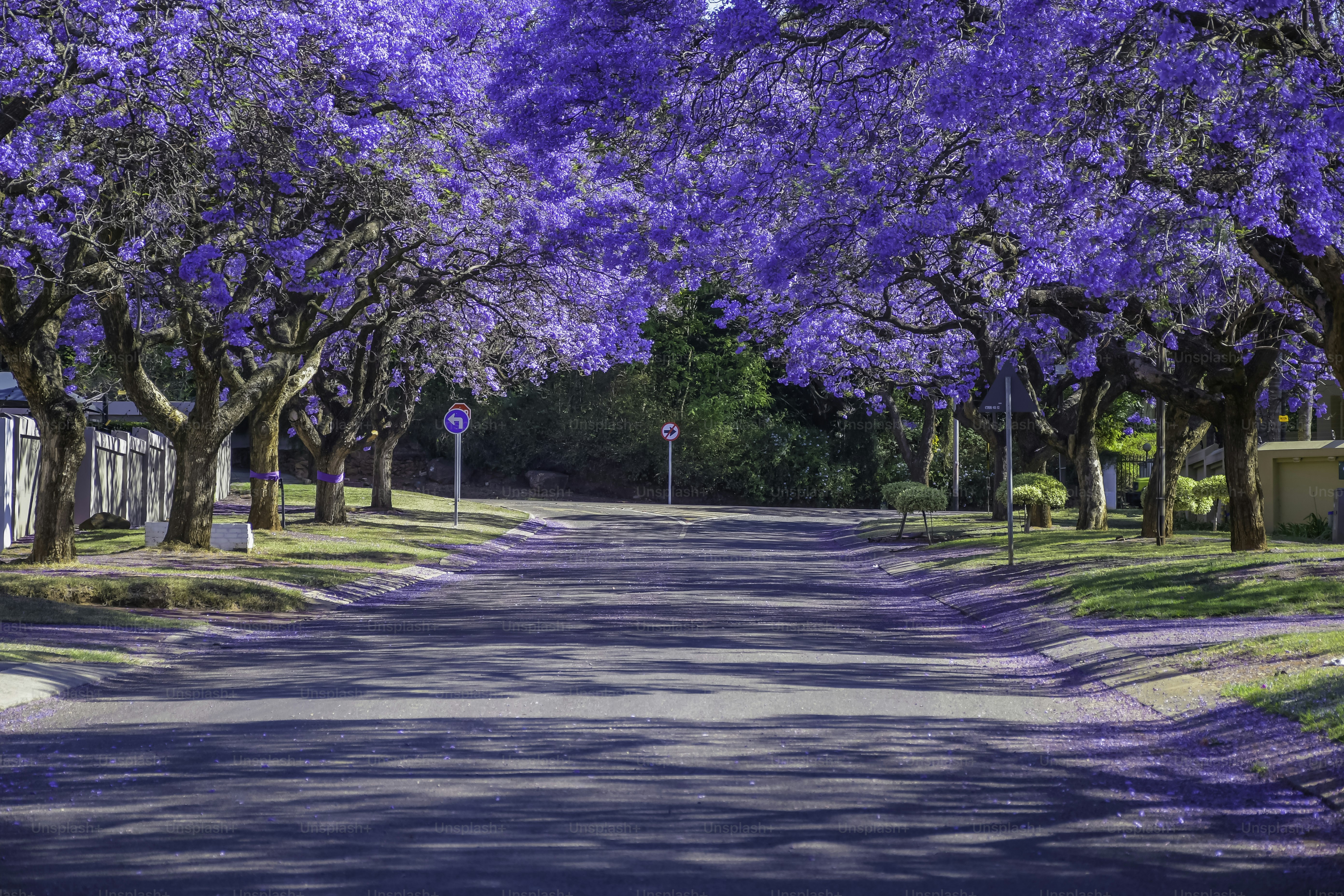Yercaud hills near Salem