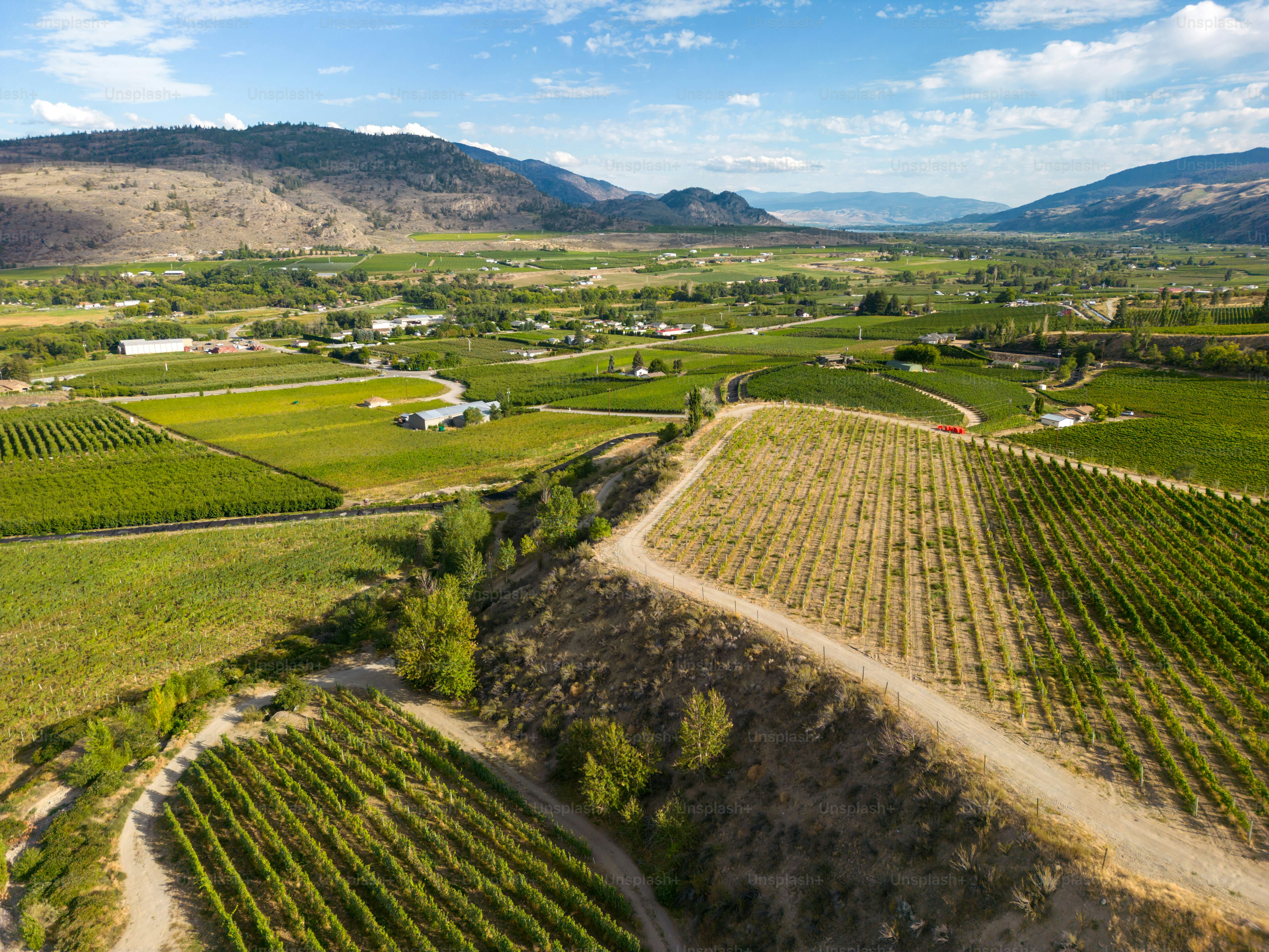 Vista aérea do drone Paisagem canadense de um vinhedo orgânico localizado no vale Okanagan em Oliver, British Columbia, Canada.