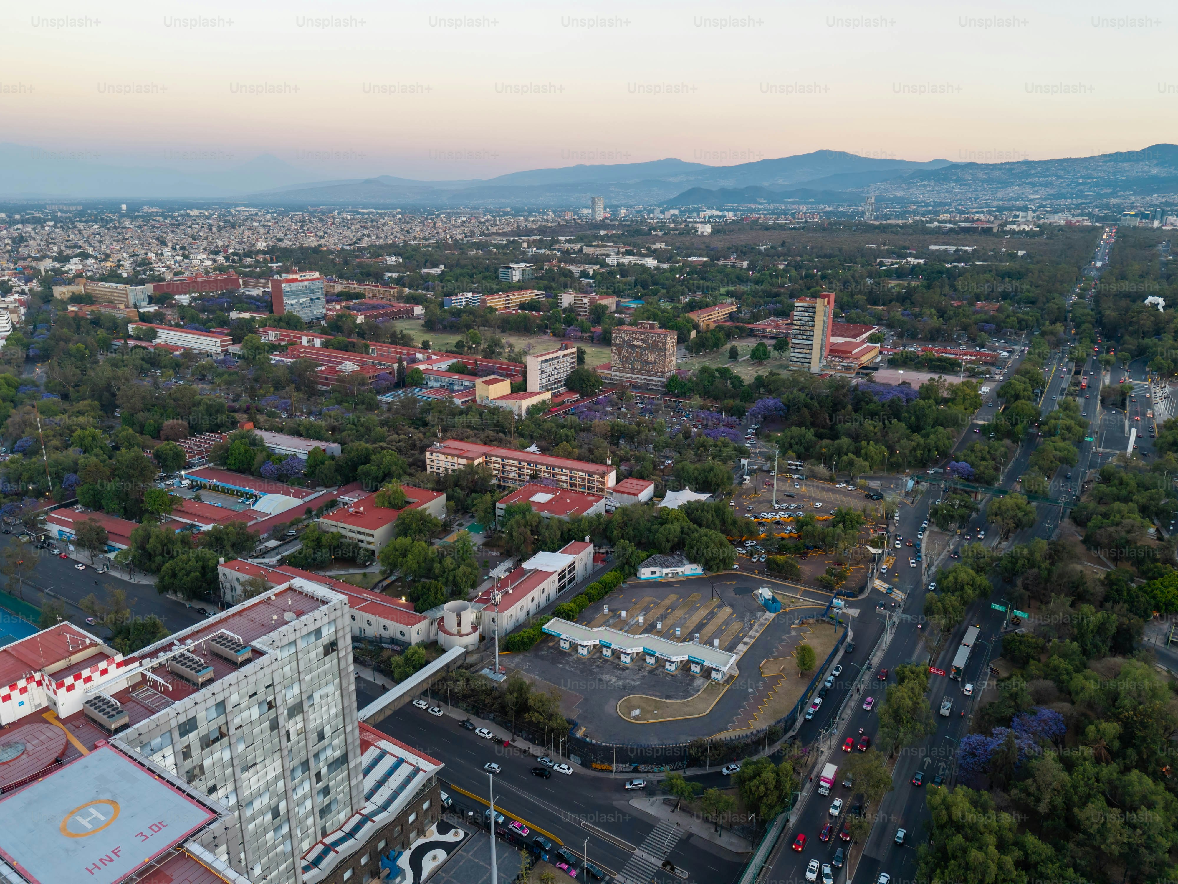 Photos of spring afternoons in the south of CDMX