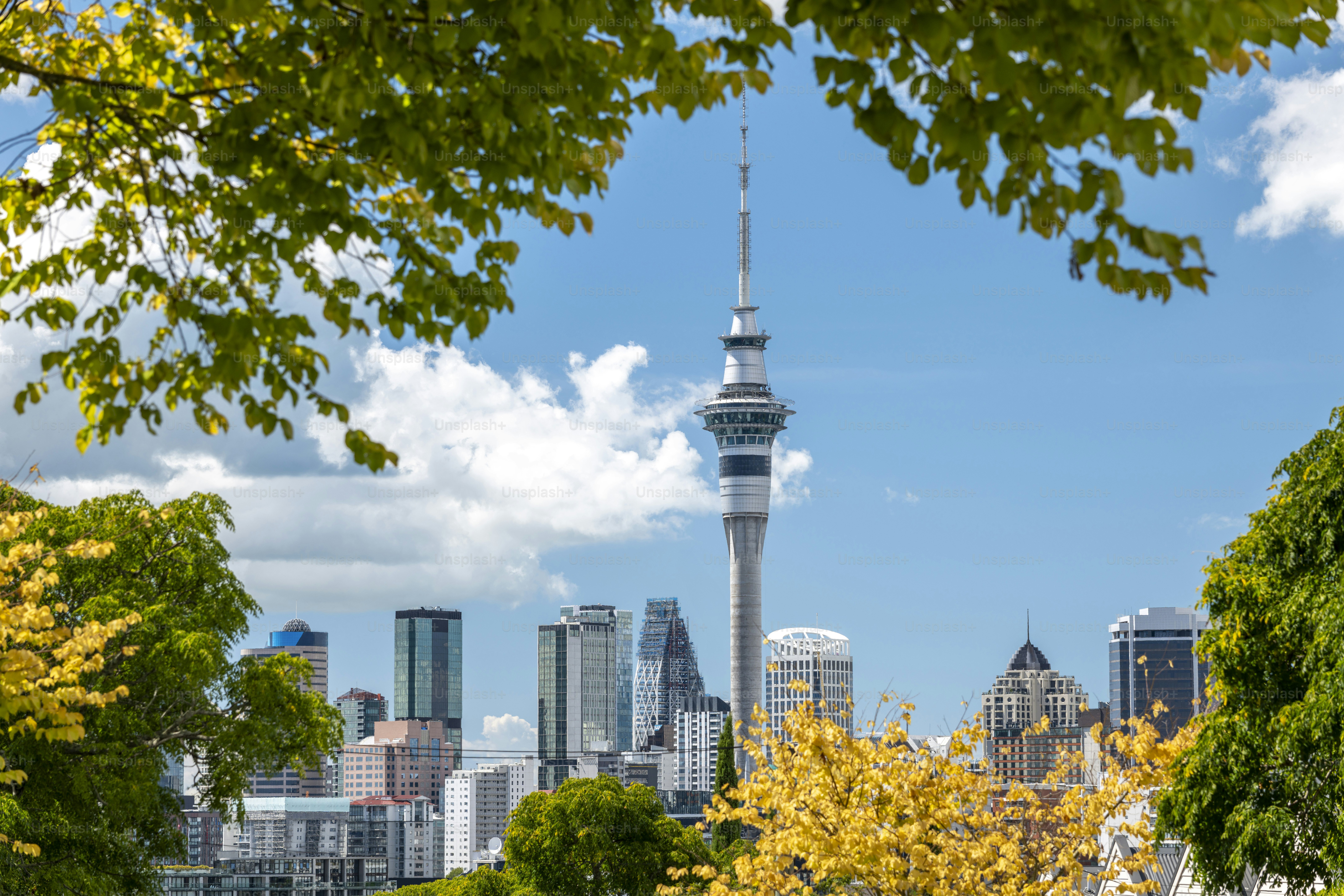 Central business district Auckland, New Zealand