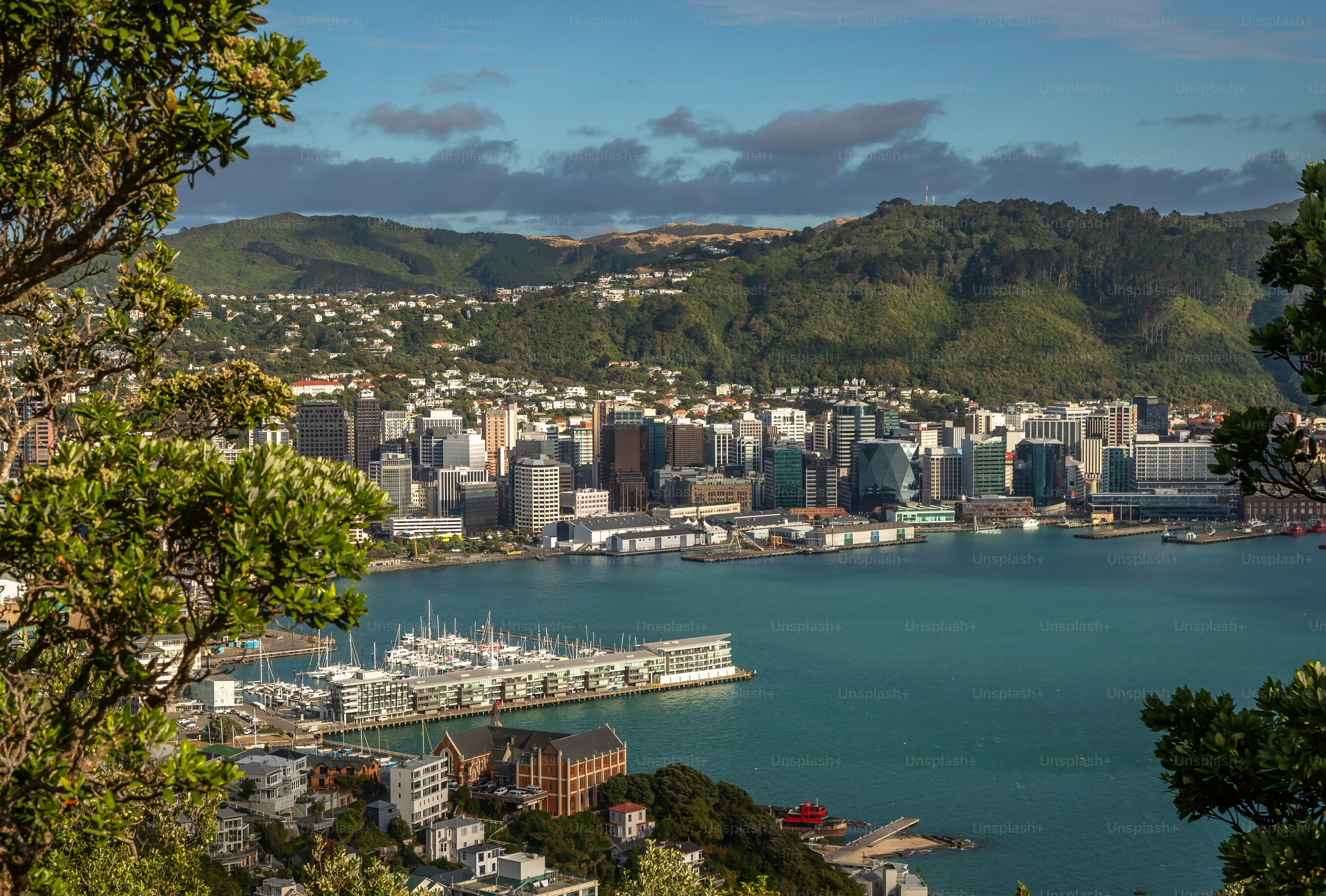 Eksposur Ibu Kota Selandia Baru Wellington, yaitu Kawasan Pusat Bisnis yang dilihat dari Gunung Victoria, pada siang hari pada hari yang cerah yang indah, Australia