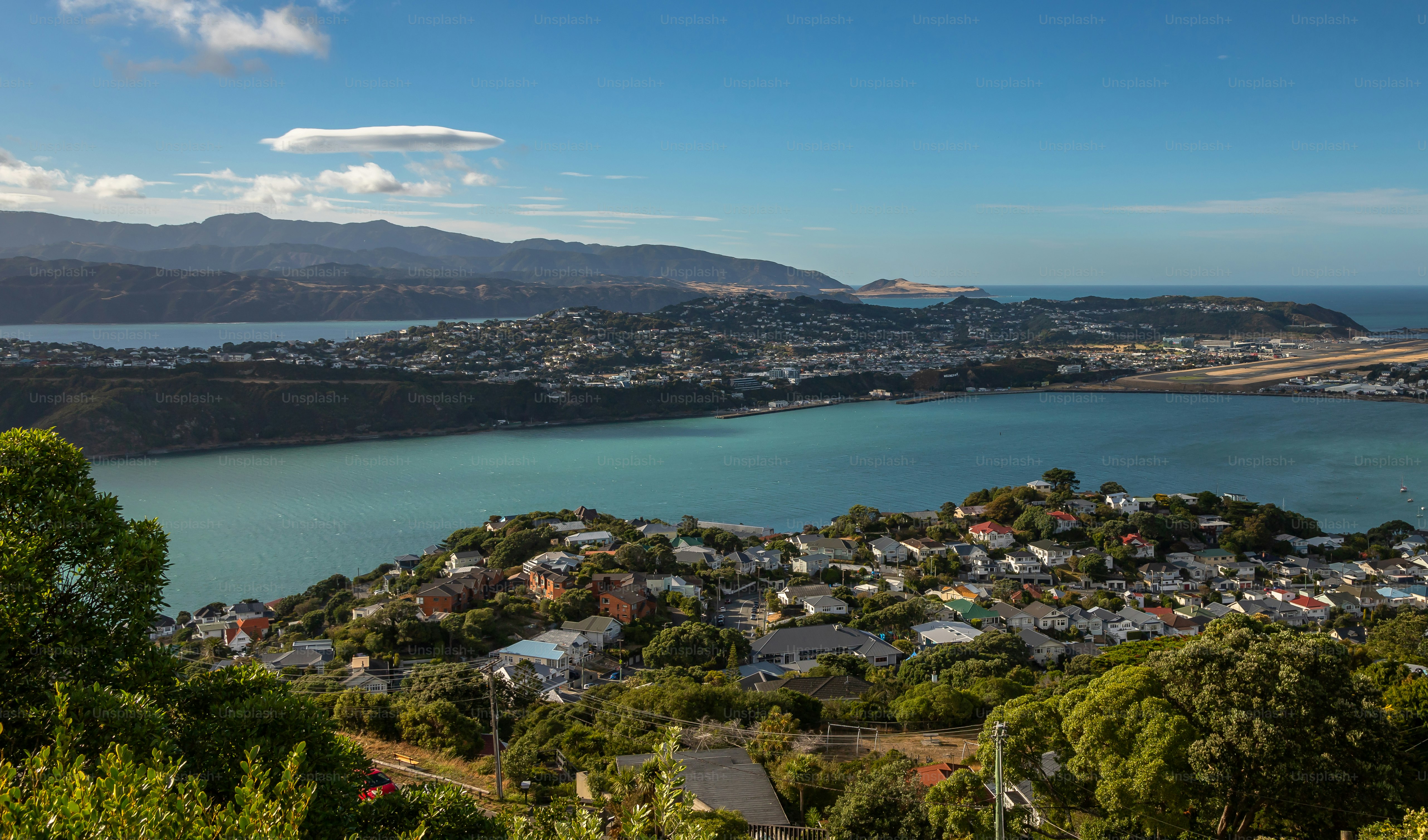 premium_photo-1754258457276-11133e77bb01?ixid=M3wxMjA3fDB8MXxzZWFyY2h8MXx8Y2hpcm8lMjB3ZWxsbmVzcyUyMG9uJTIwd2VsbGluZ3RvbnxlbnwwfHx8fDE3NTU3NjA4MTh8MA\u0026ixlib=rb-4.1.0