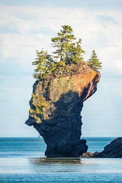 Highest Tides in the World: Where Water Levels Rise Over 15 Meters