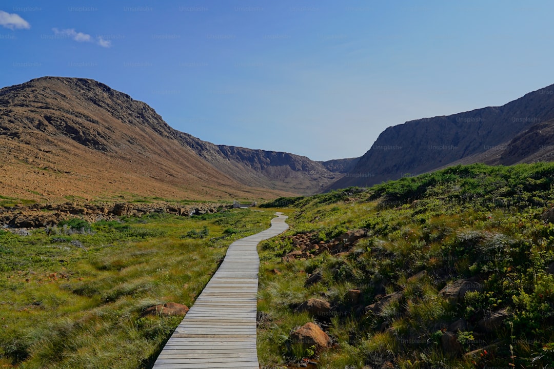 Boardwalk trail through the Tablelands in Gros Morne National Park in Newfoundland Canada