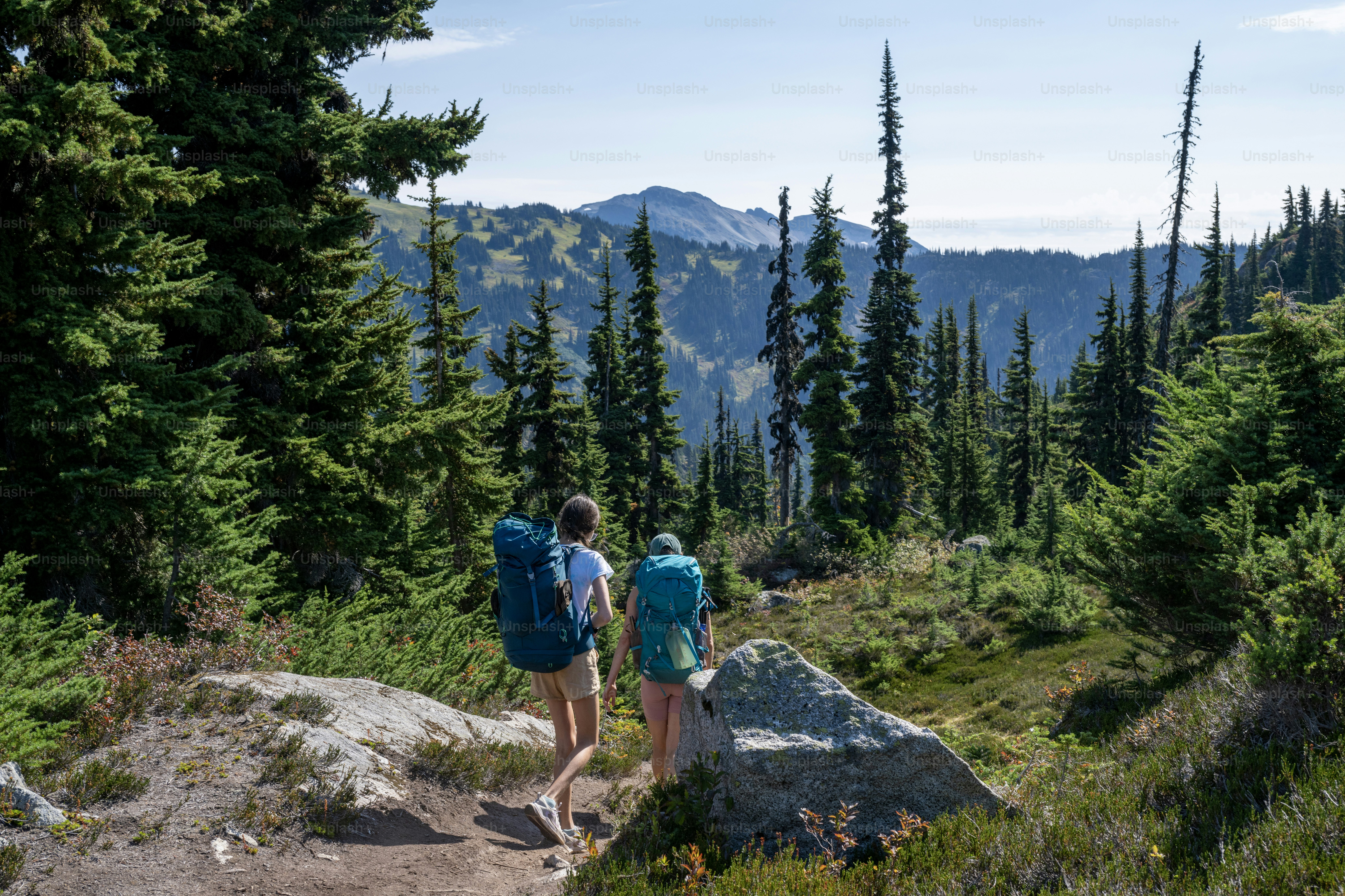Rucksack der Schwestern auf einem bewaldeten Bergpfad, Whistler, B.C.