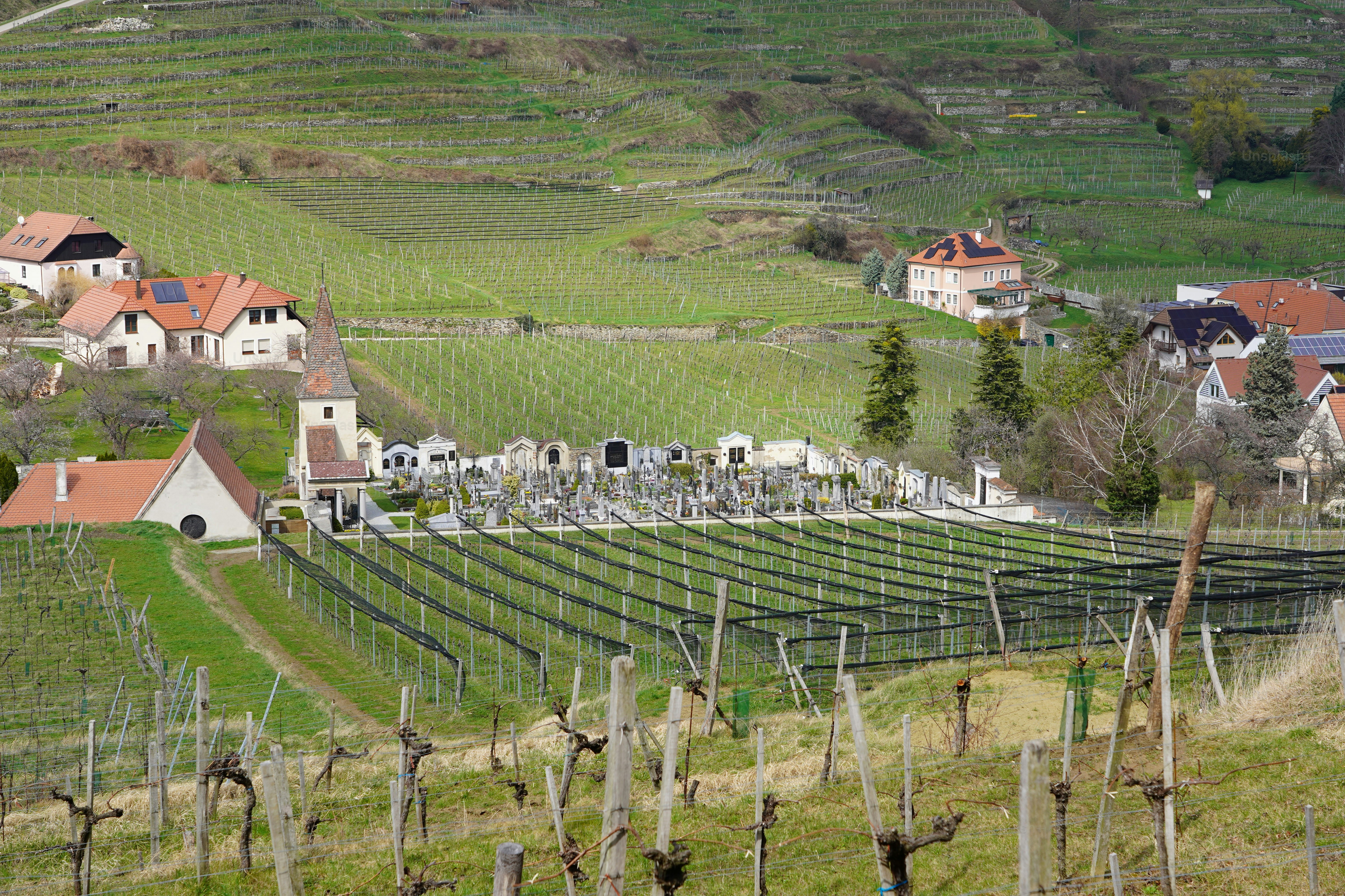 Early spring in Spitz an der Donau, Wachau, Austria. Austrian village view from above. Panorama of a spring village in Europe.
