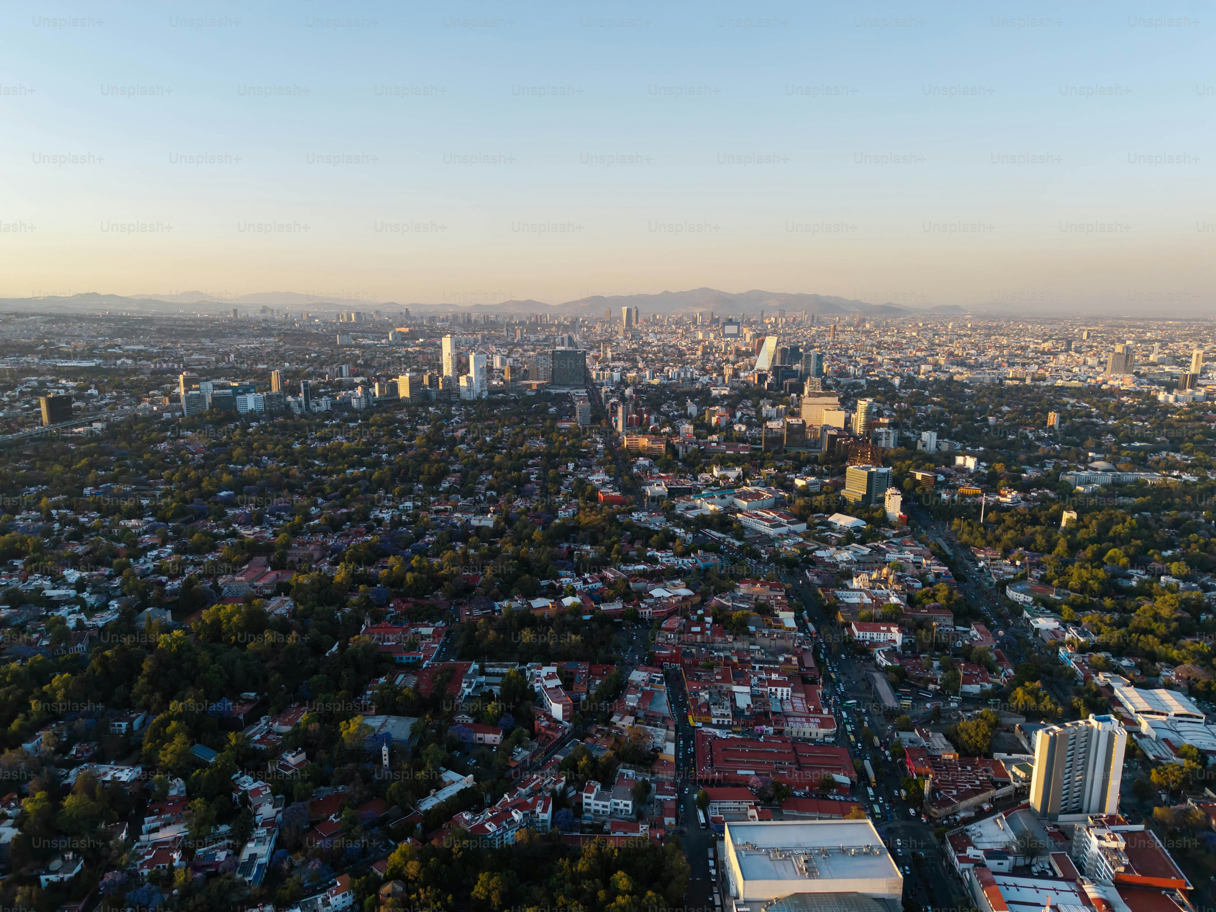 Photos of spring afternoons in the south of CDMX