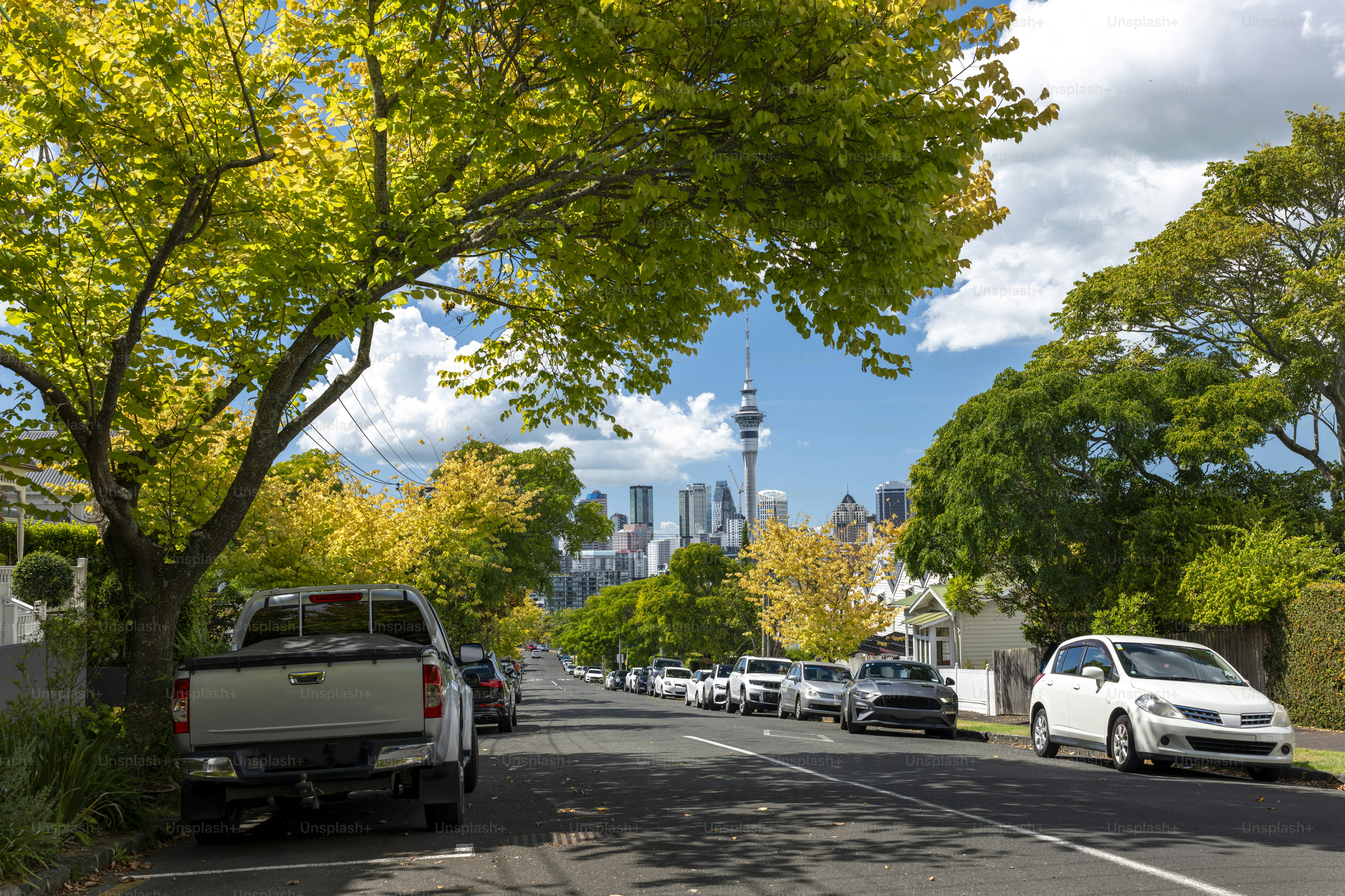 Central business district Auckland, New Zealand