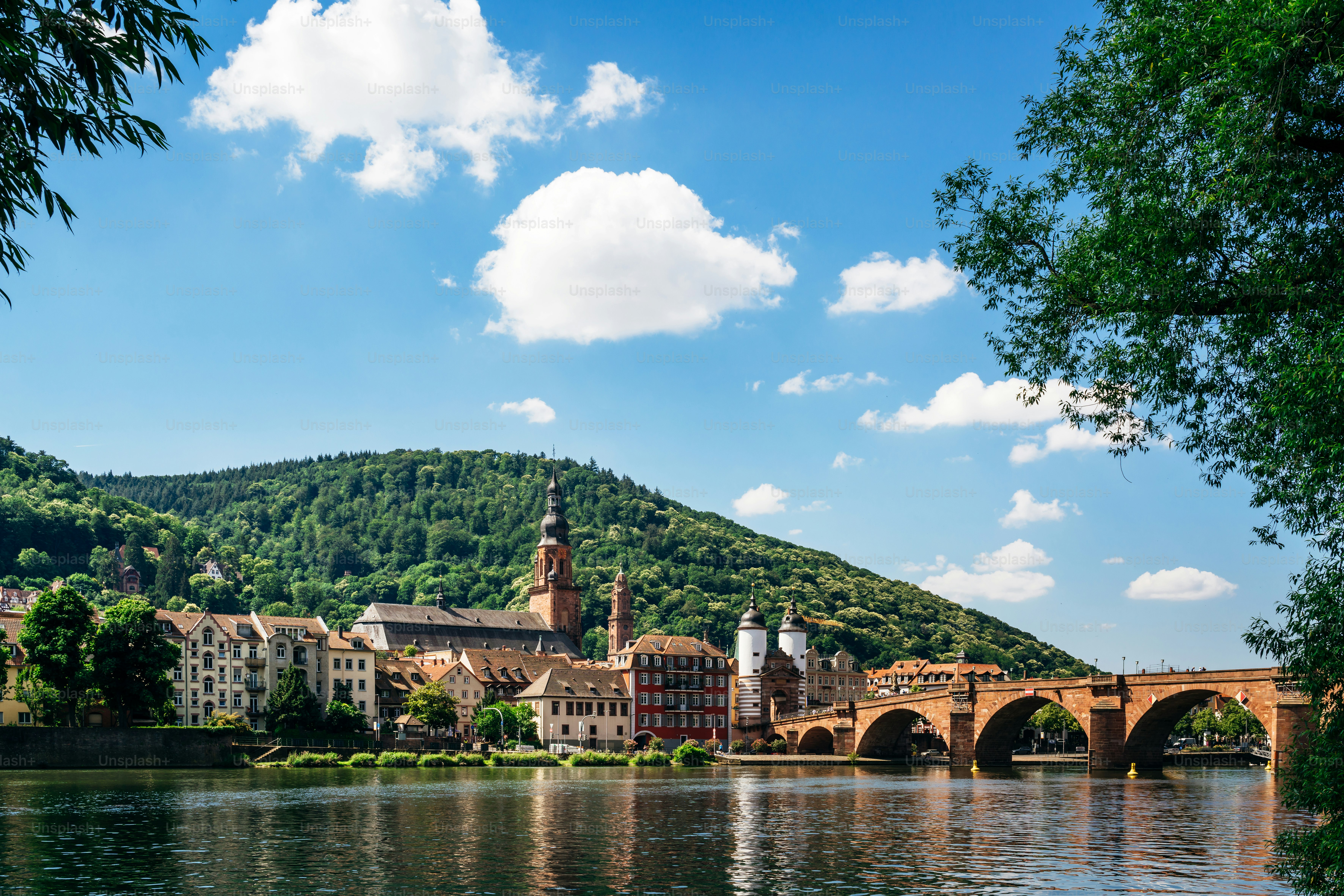 Charming panoramic view of Heidelberg, Germany featuring the Old Bridge, historic buildings, and lush green hillside under a bright blue sky.