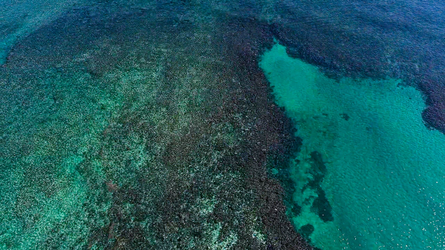 Great Barrier Reef