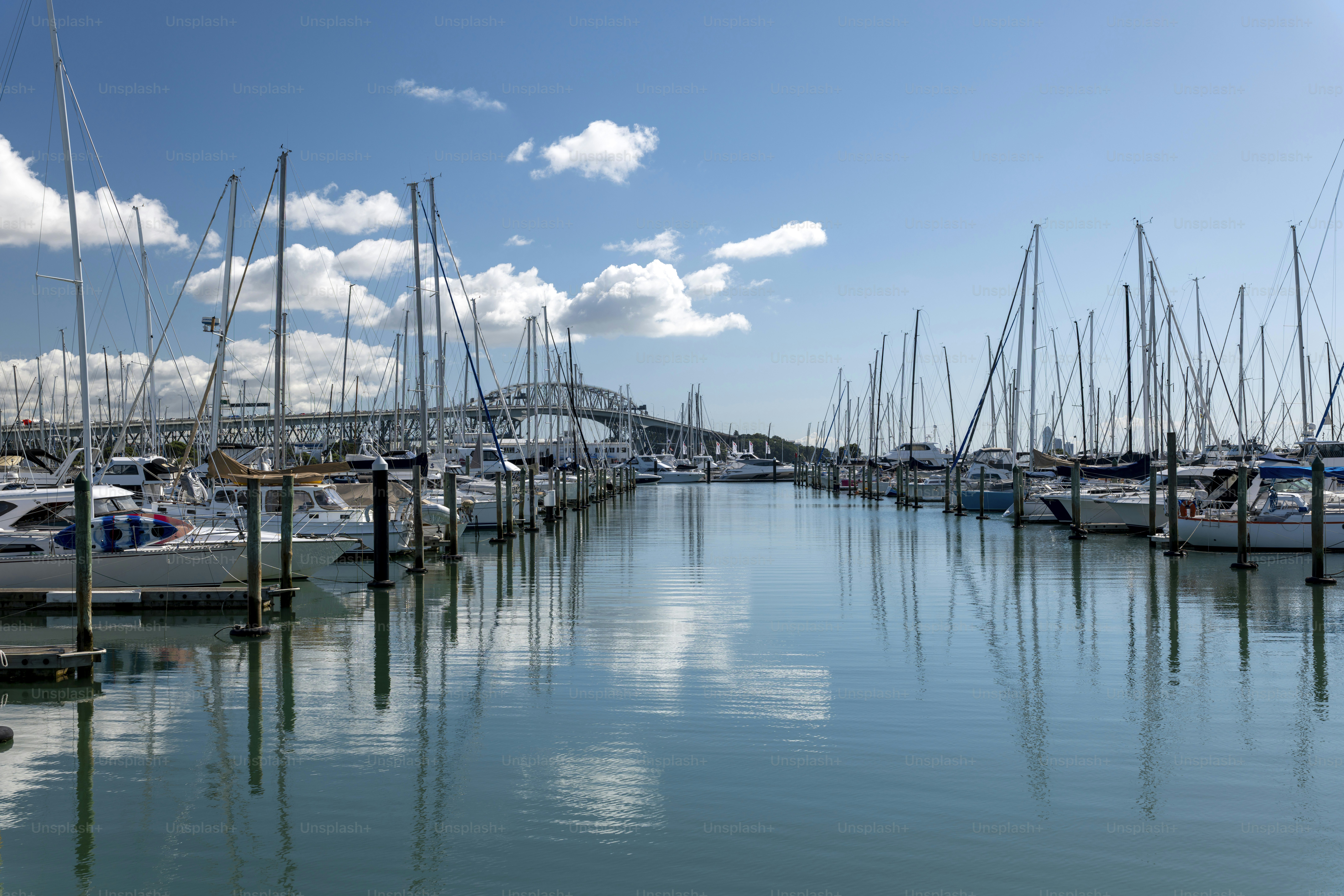 Westhaven Marina, Auckland, Selandia Baru
