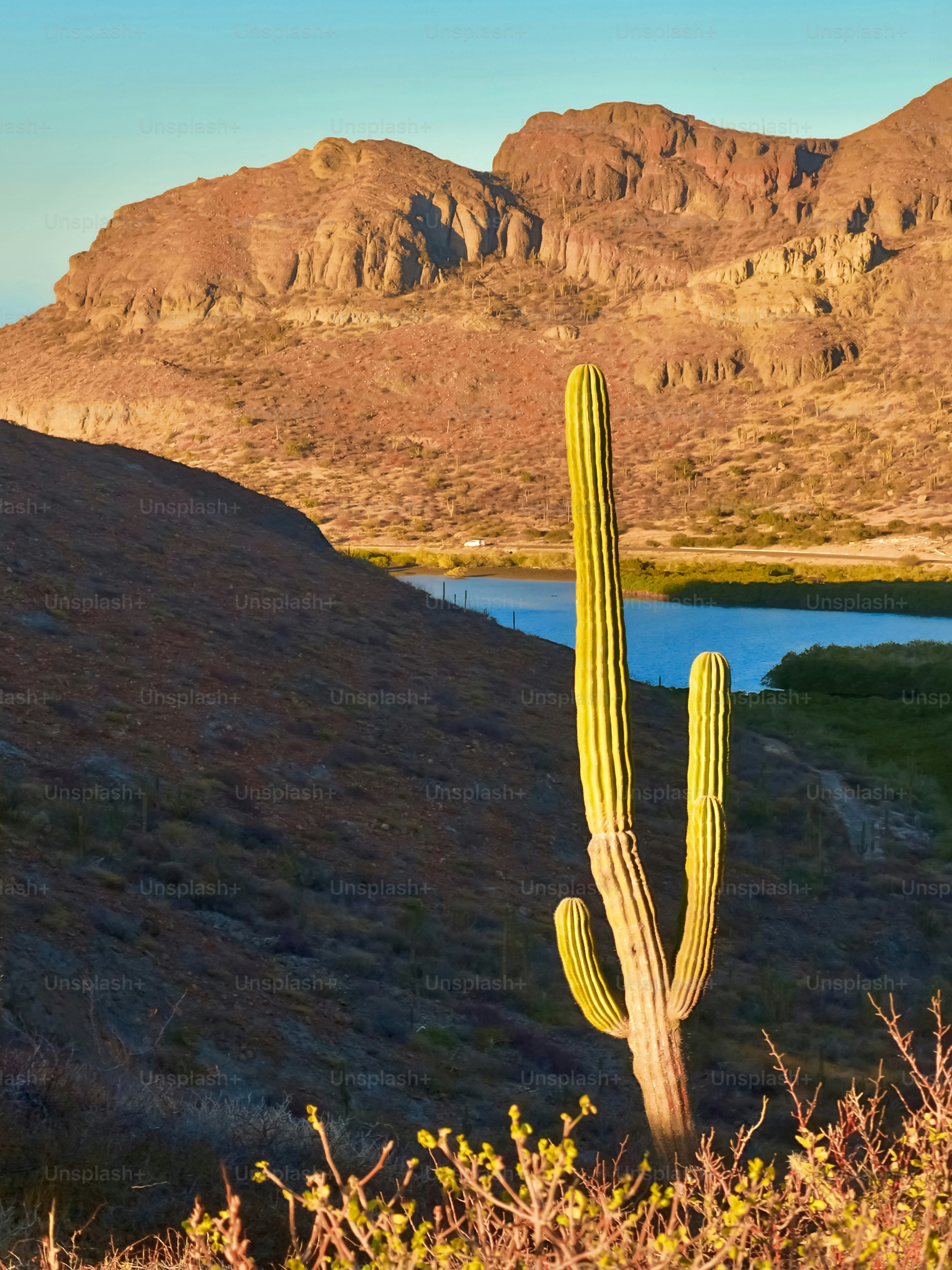 Baja California, Mexico
