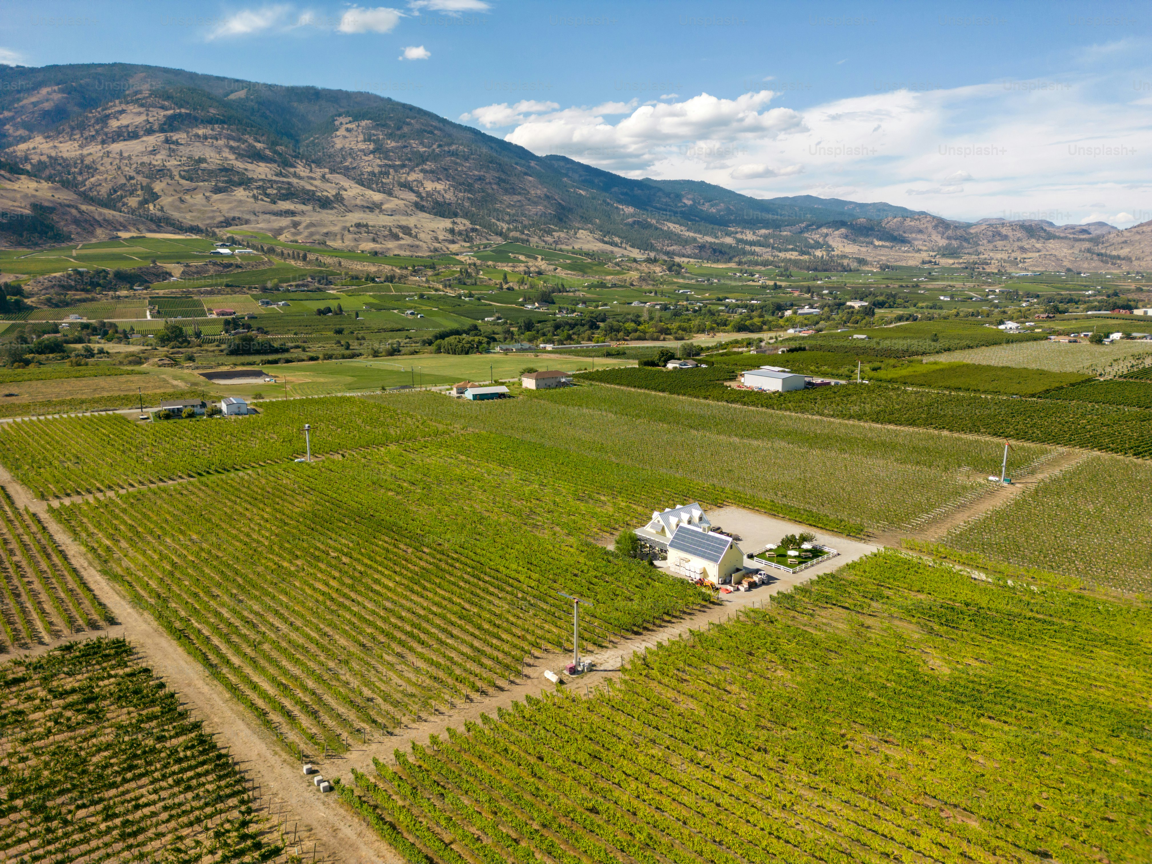 Drone aerial view Canadian landscape of an organic winery vineyard located in the Okanagan Valley in Oliver, British Columbia, Canada.